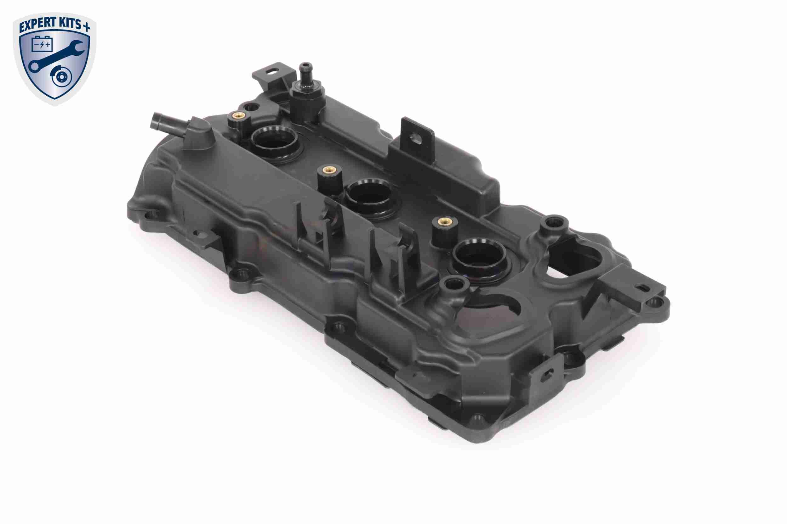 Ackoja Cilinderkopkap A38-9708