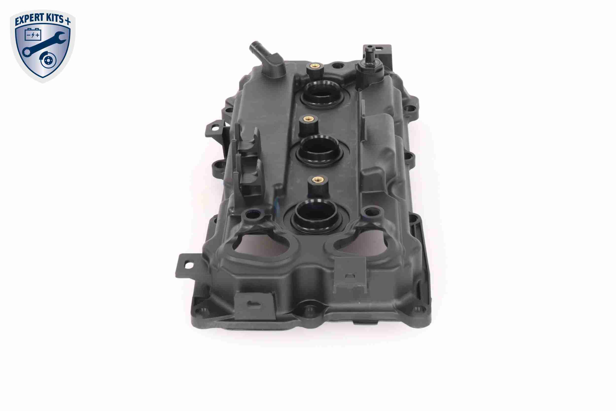 Ackoja Cilinderkopkap A38-9708