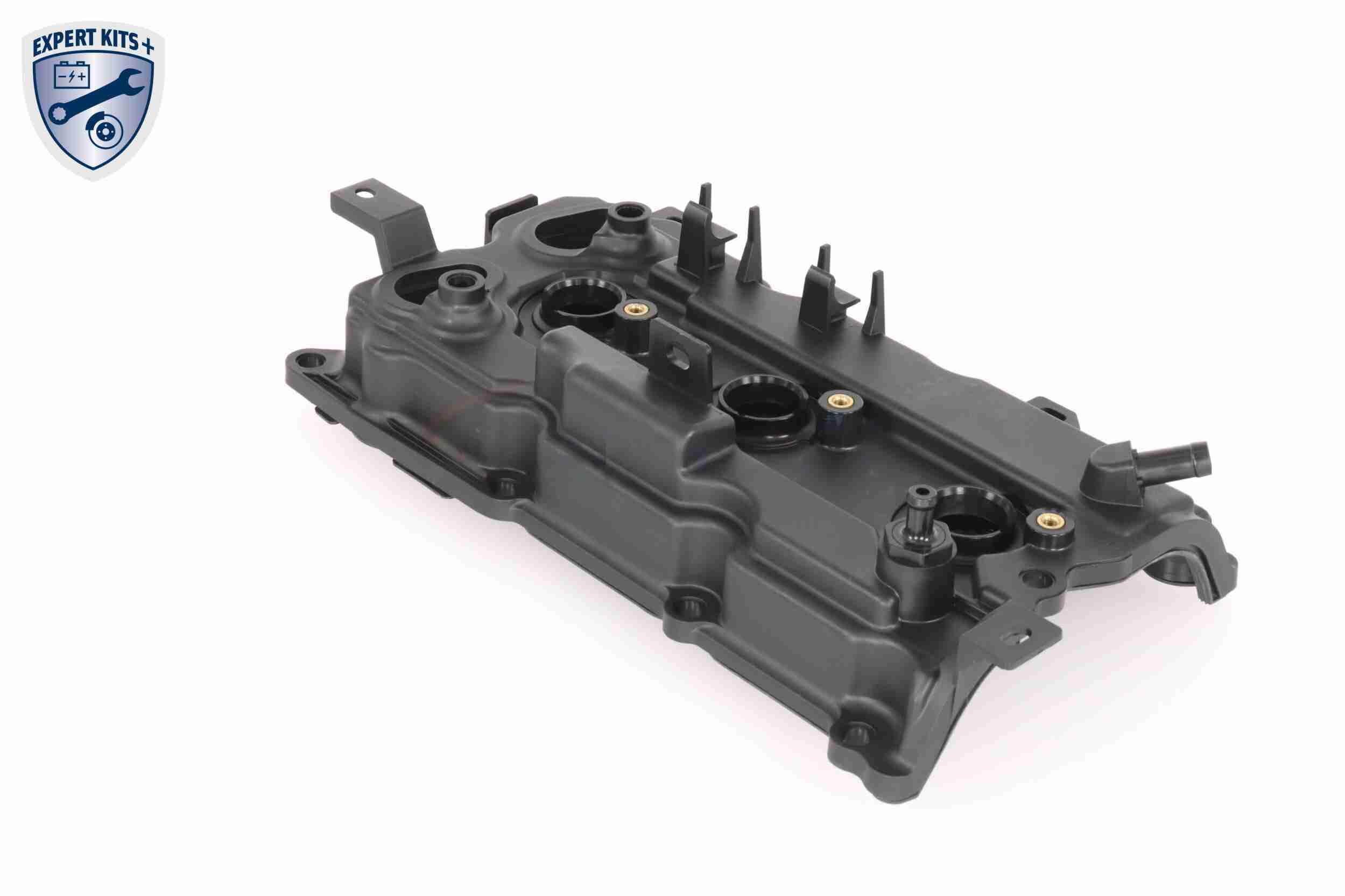 Ackoja Cilinderkopkap A38-9708