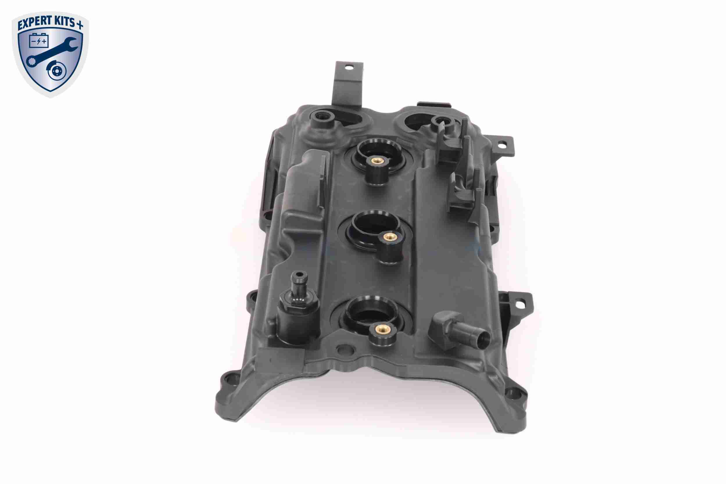 Ackoja Cilinderkopkap A38-9708