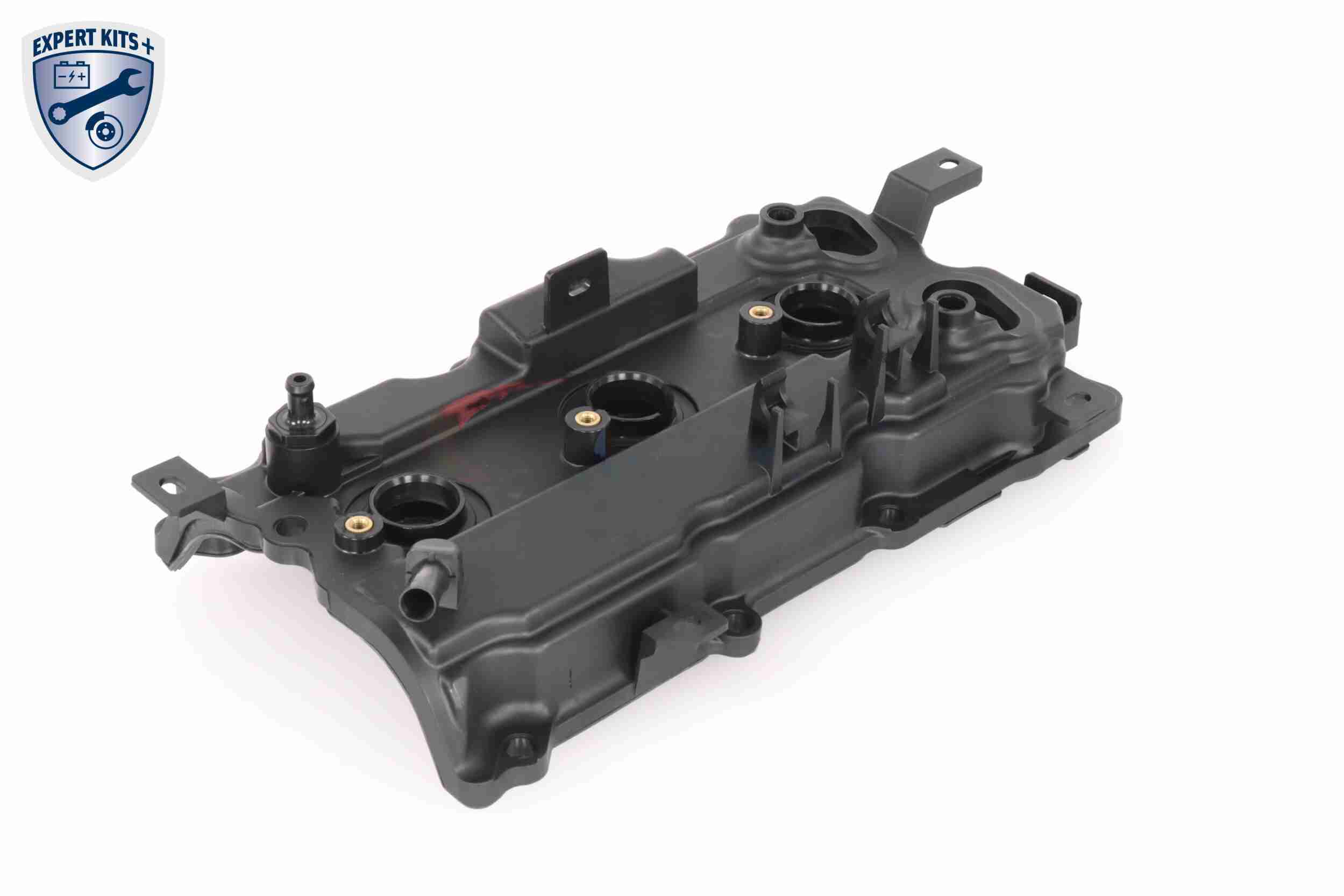 Ackoja Cilinderkopkap A38-9708