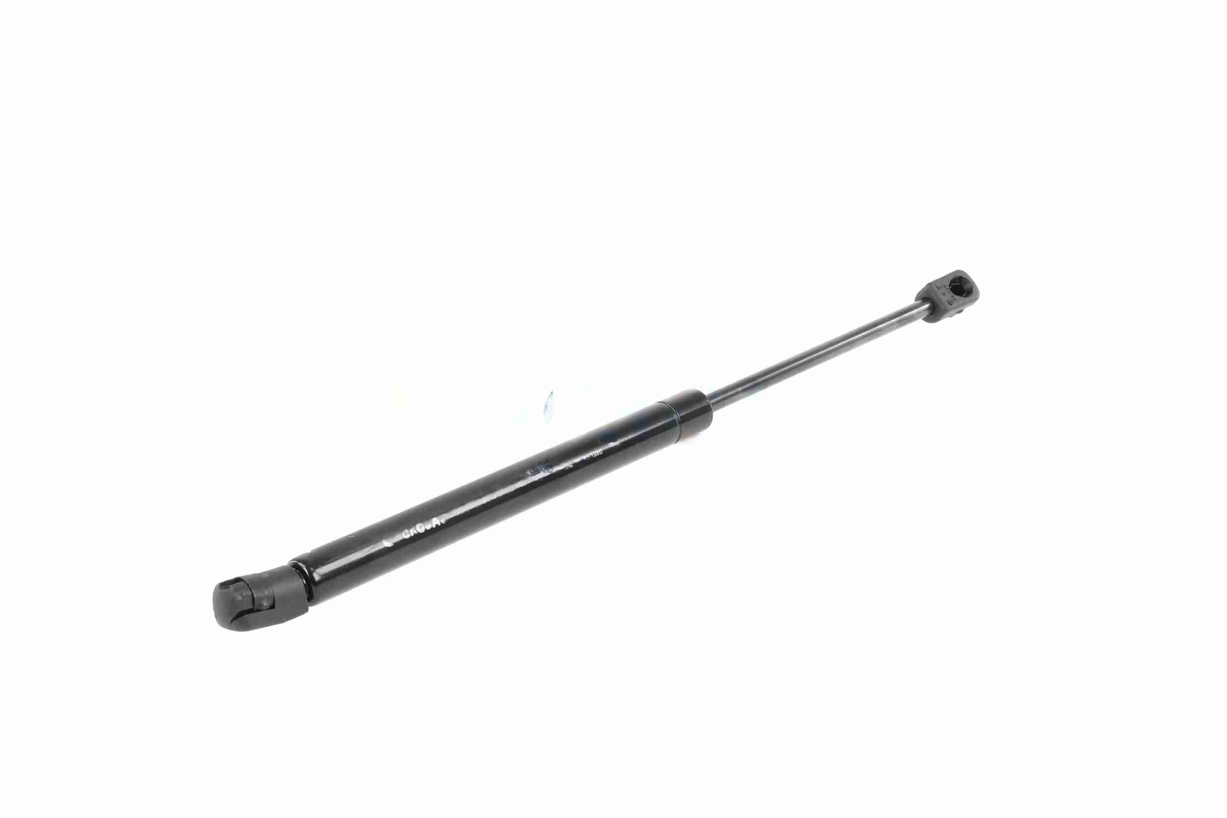 Ackoja Gasveer, kofferruimte A51-0058