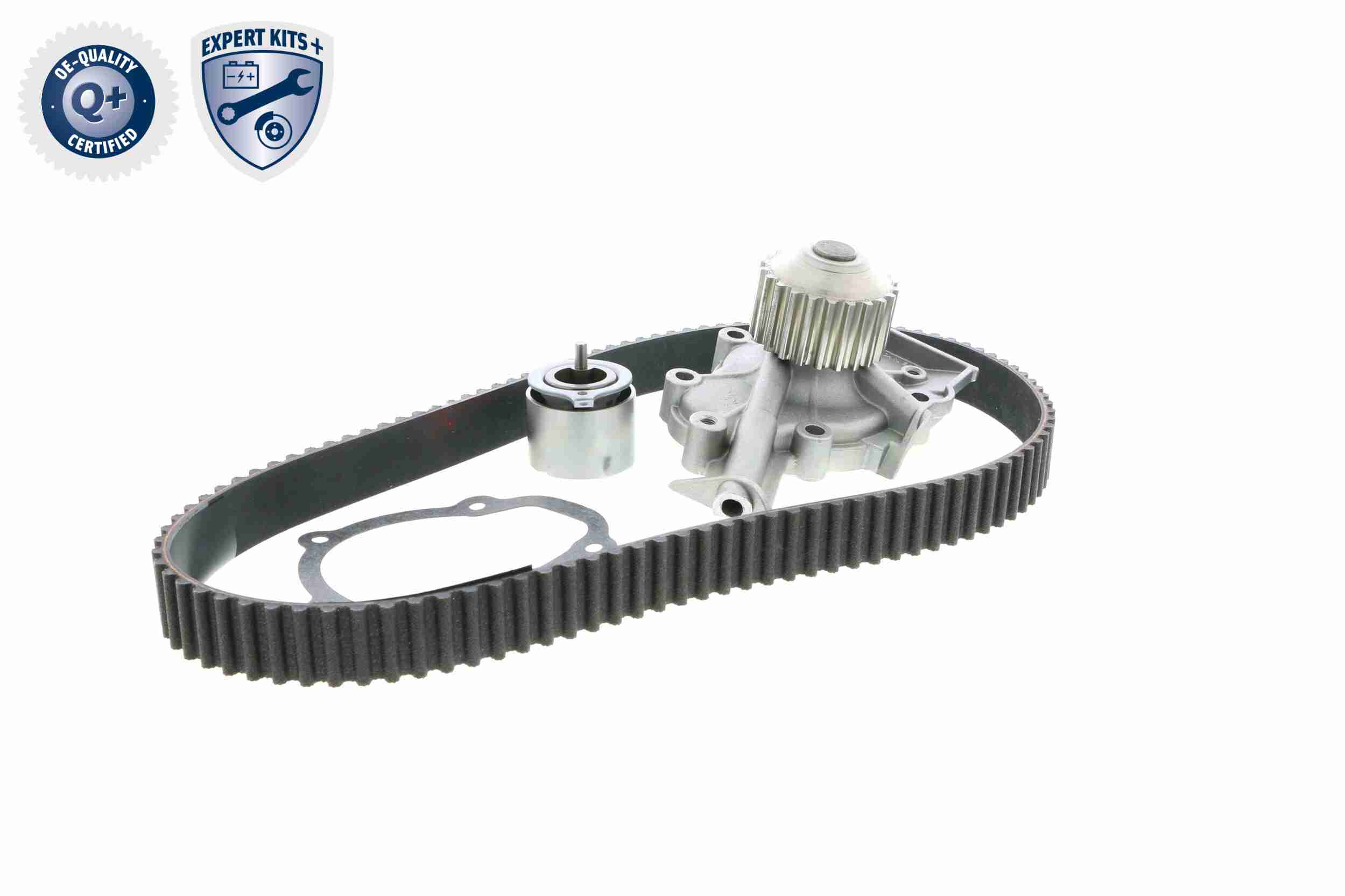 Ackoja Distributieriem kit inclusief waterpomp A51-0202W