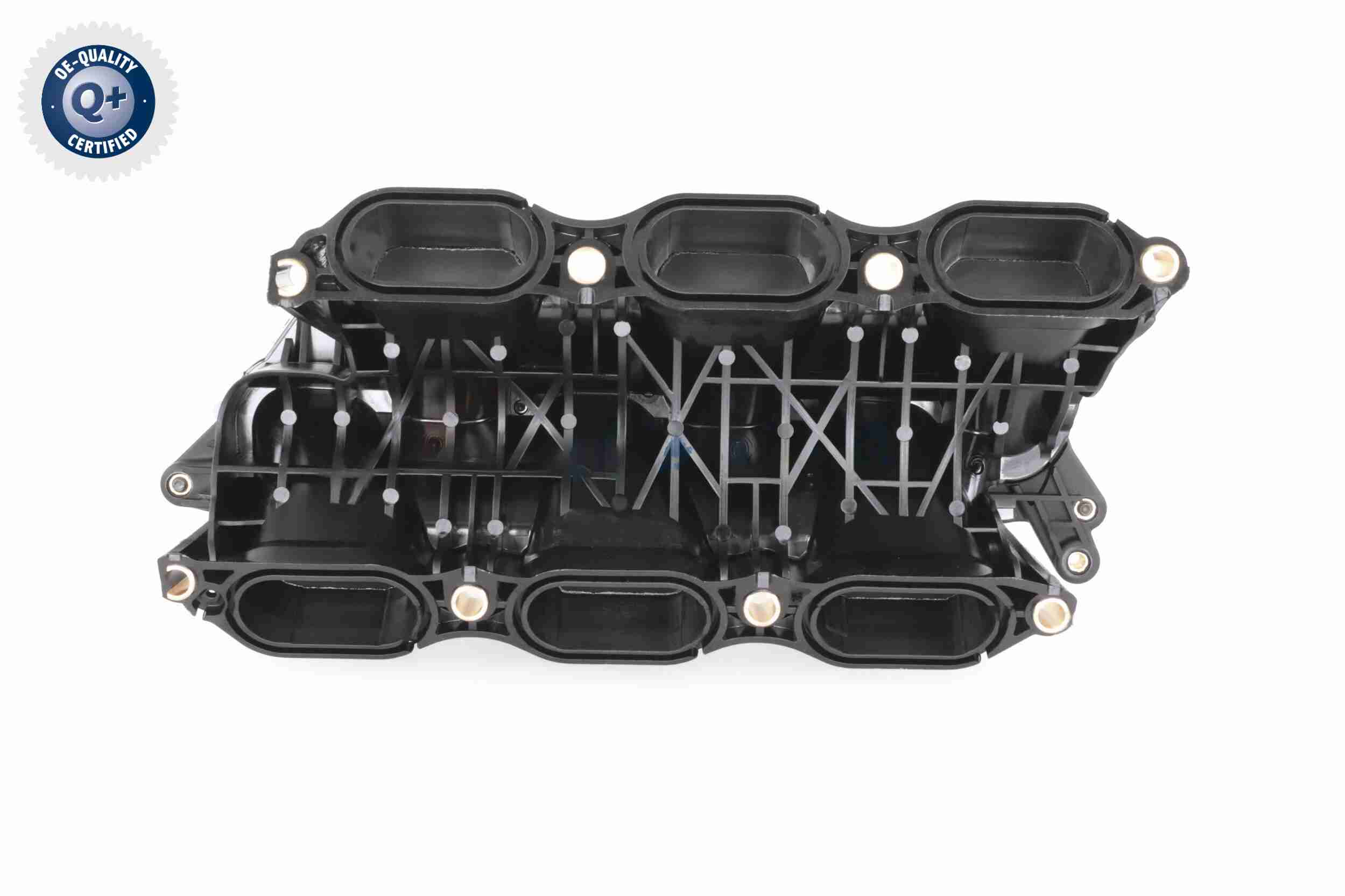 Ackoja Inlaatspruitstuk module A52-0165