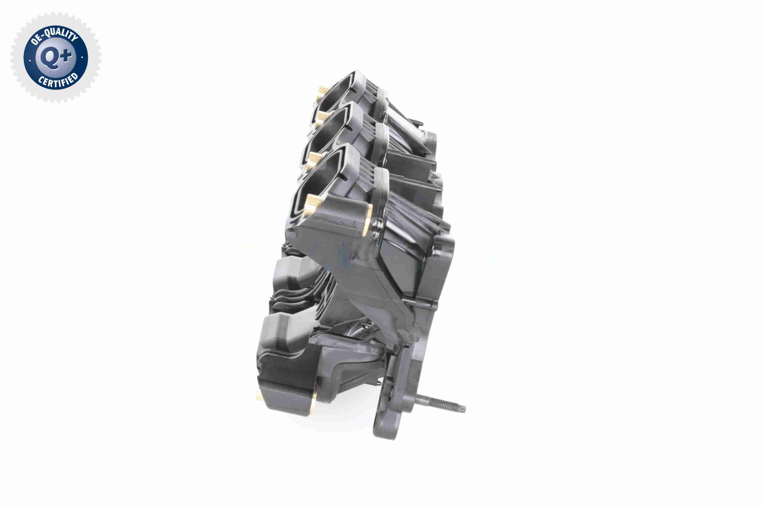 Ackoja Inlaatspruitstuk module A52-0165