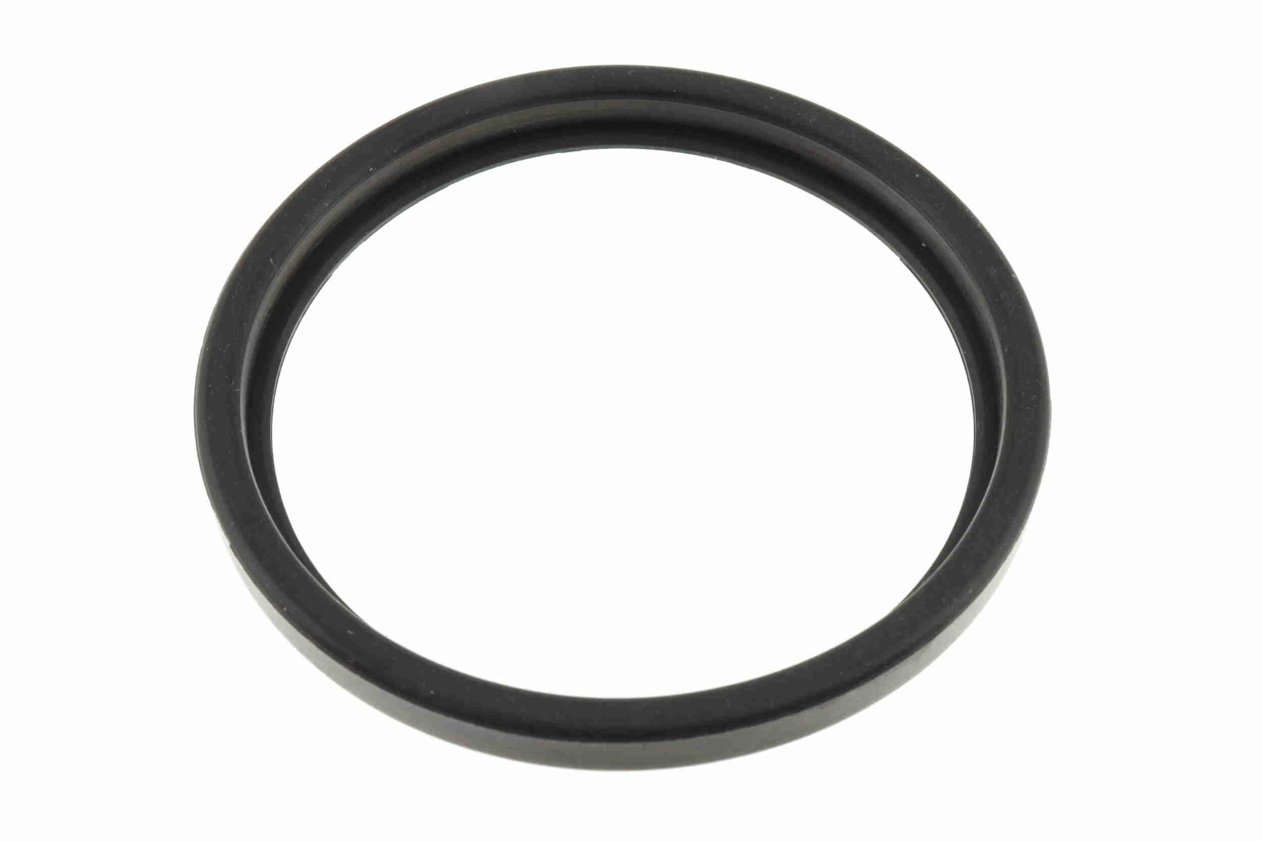 Ackoja Brandstoffilter A52-0299