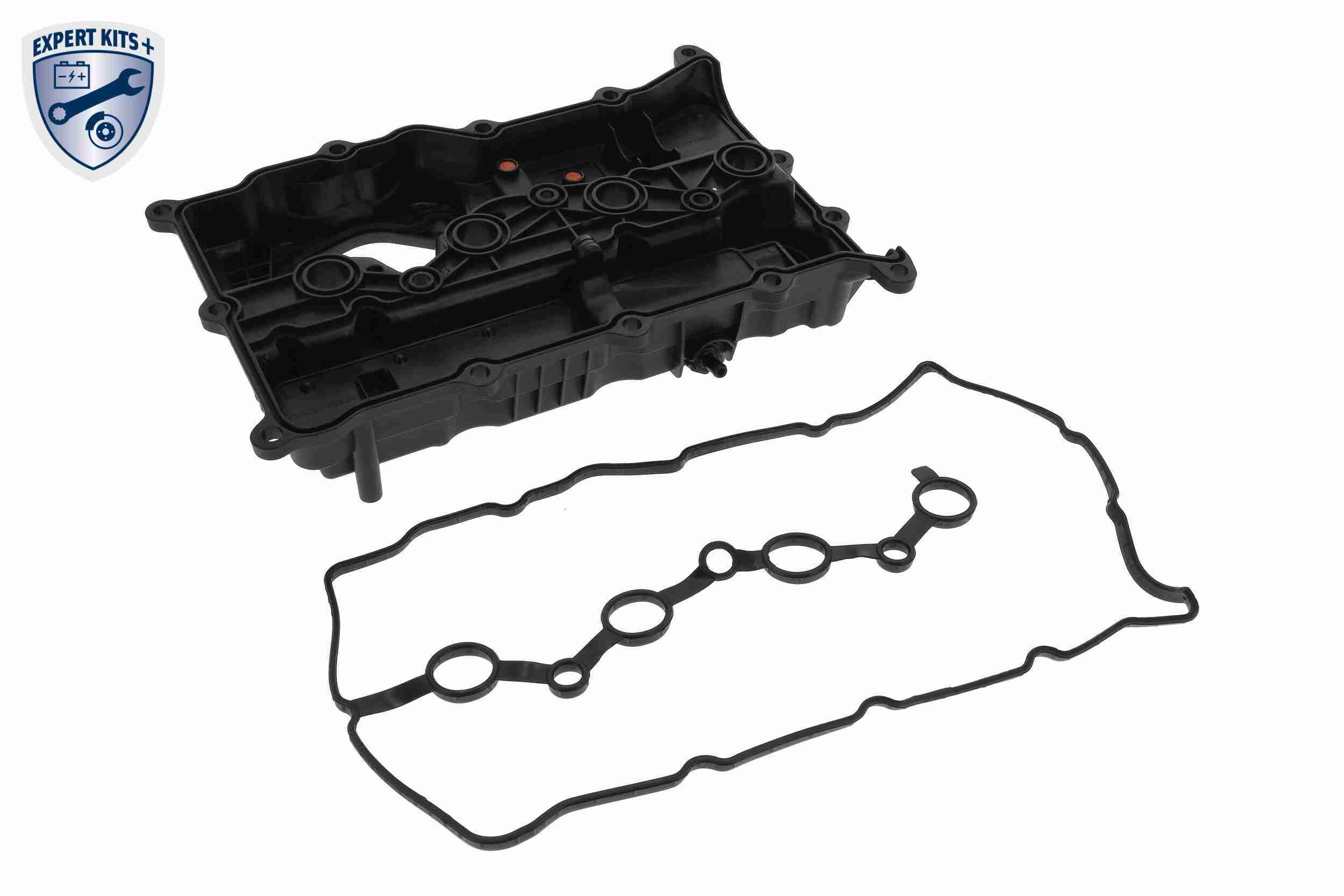 Ackoja Cilinderkopkap A52-0654