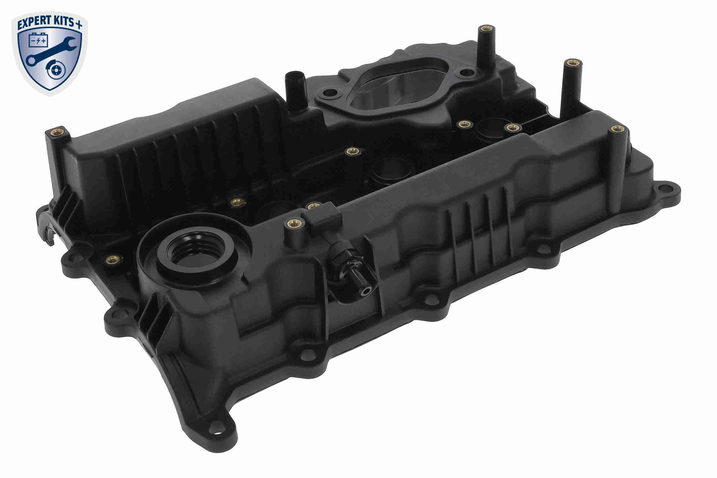 Ackoja Cilinderkopkap A52-0654