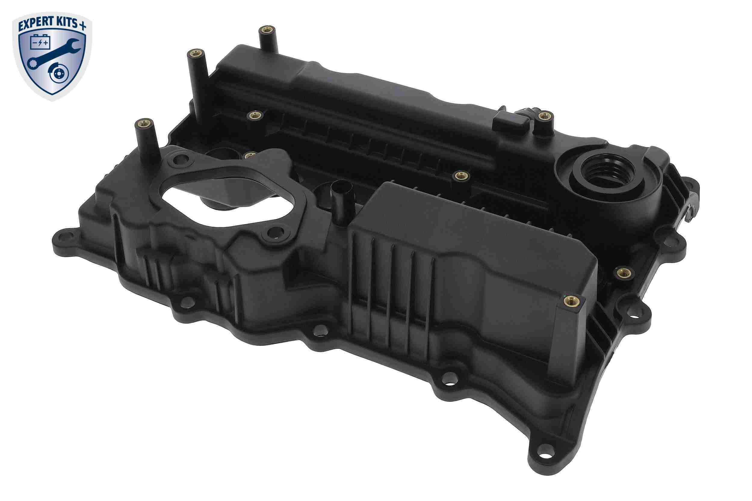 Ackoja Cilinderkopkap A52-0654