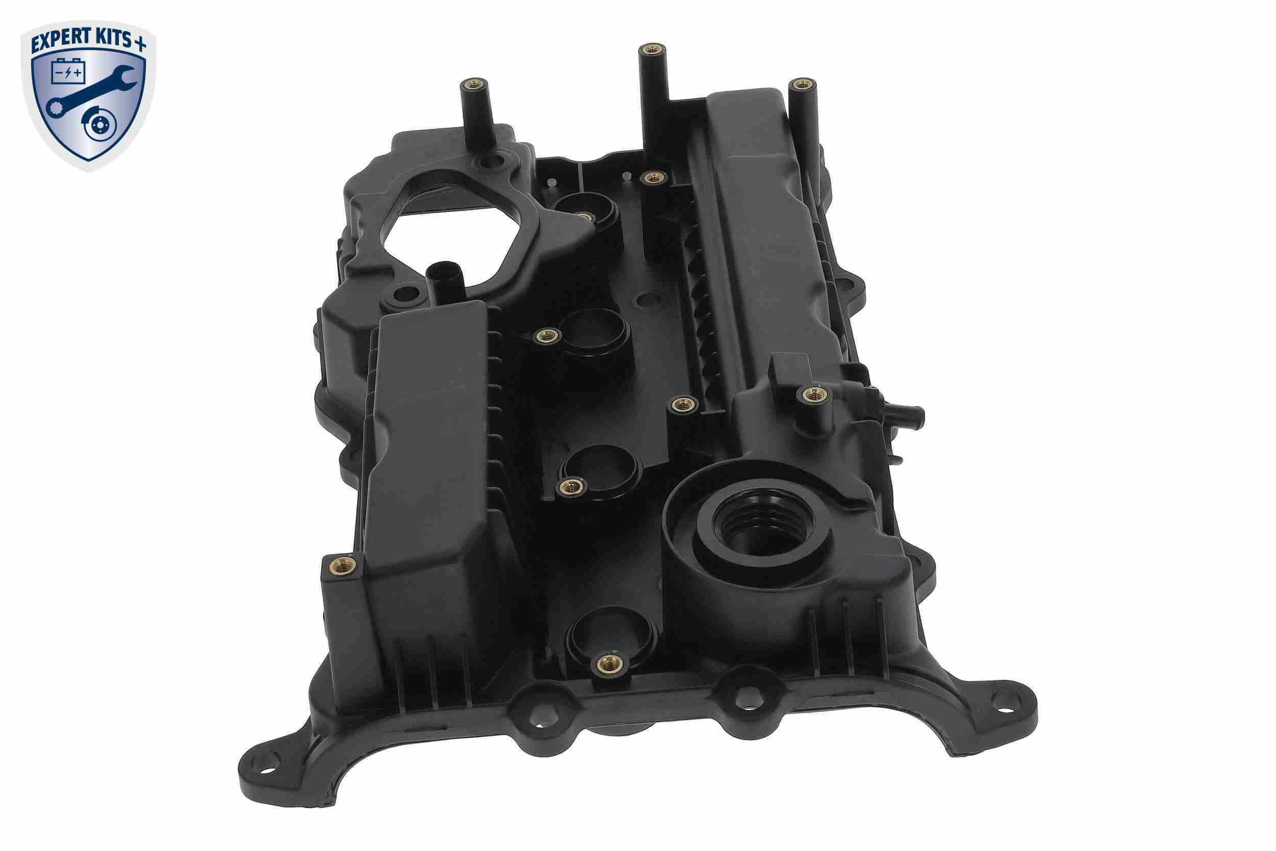 Ackoja Cilinderkopkap A52-0654