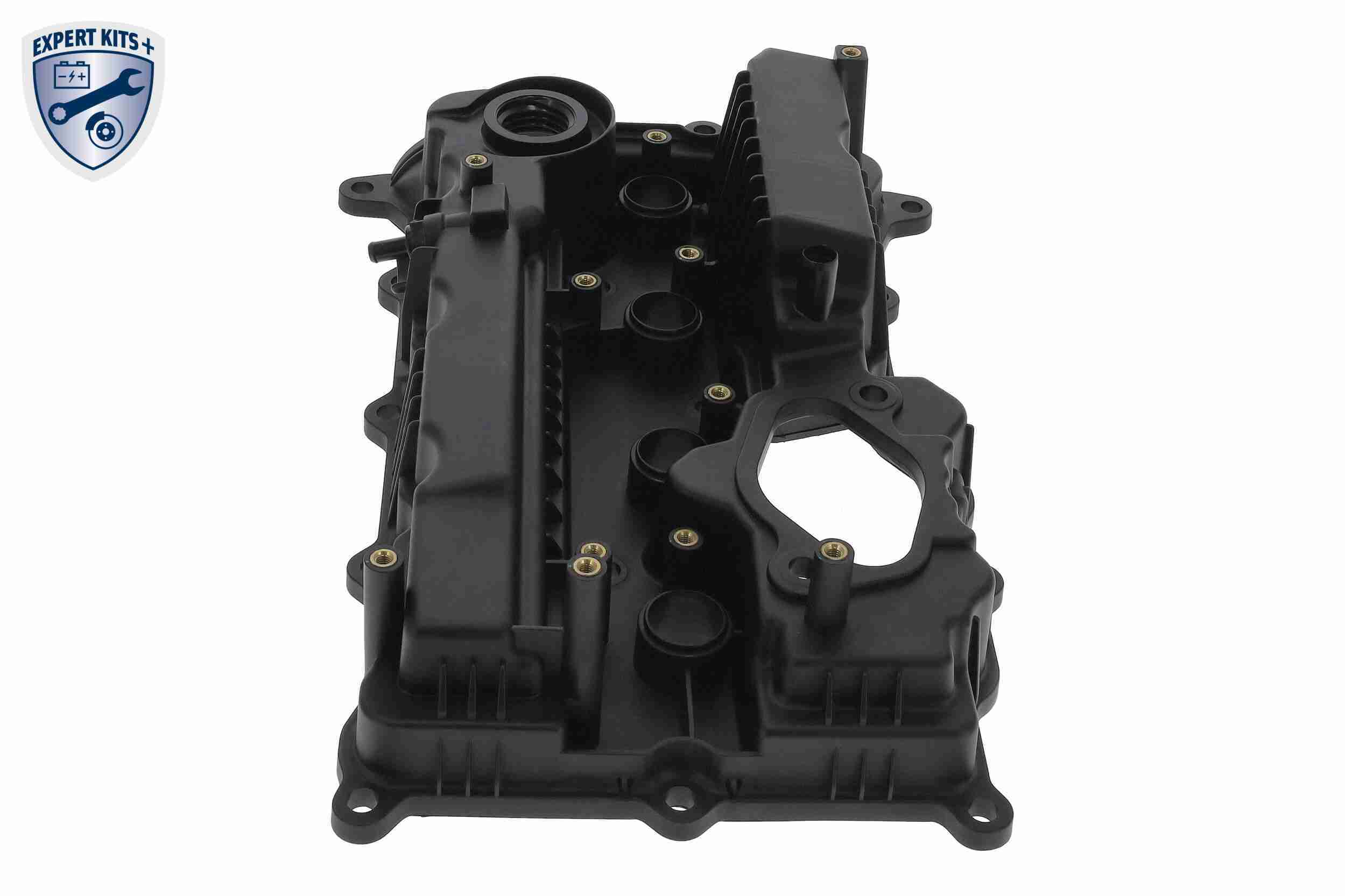 Ackoja Cilinderkopkap A52-0654