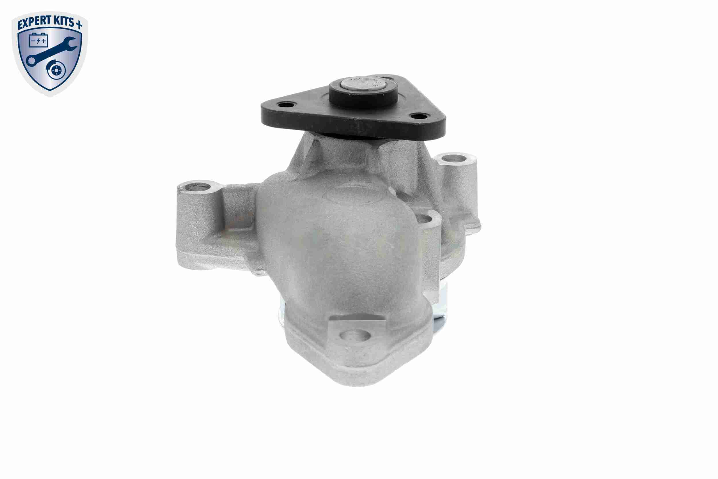 Ackoja Waterpomp A52-0704