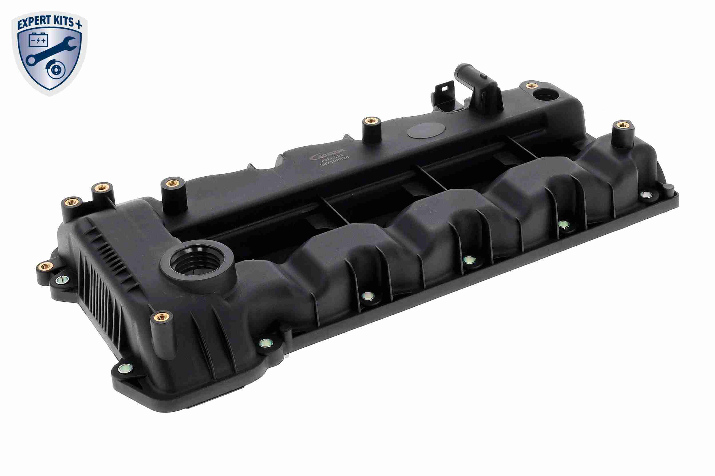 Ackoja Cilinderkopkap A52-0769