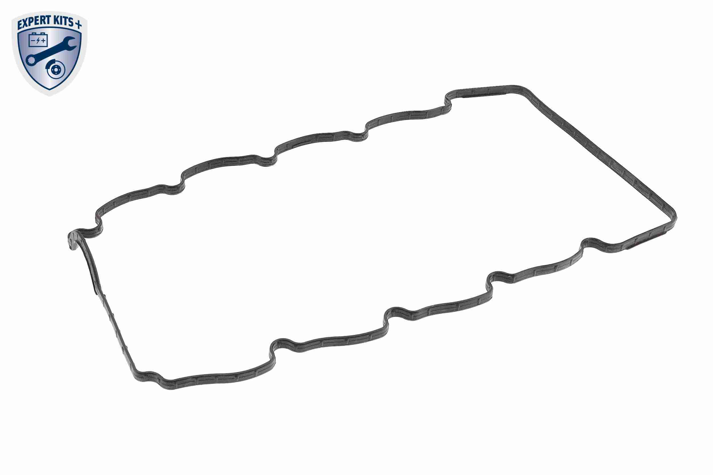 Ackoja Cilinderkopkap A52-0769