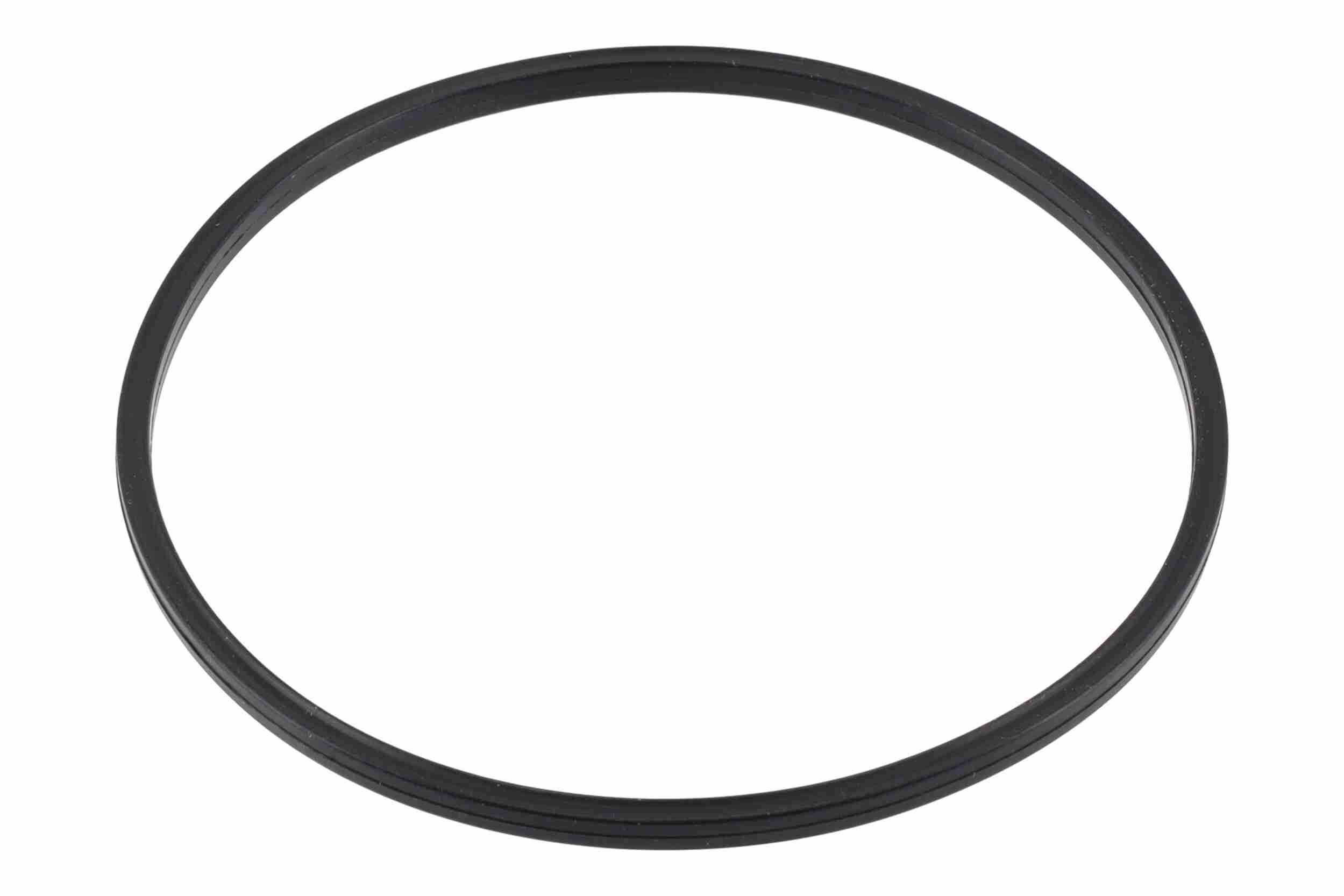 Ackoja Brandstofpomp A52-09-0033