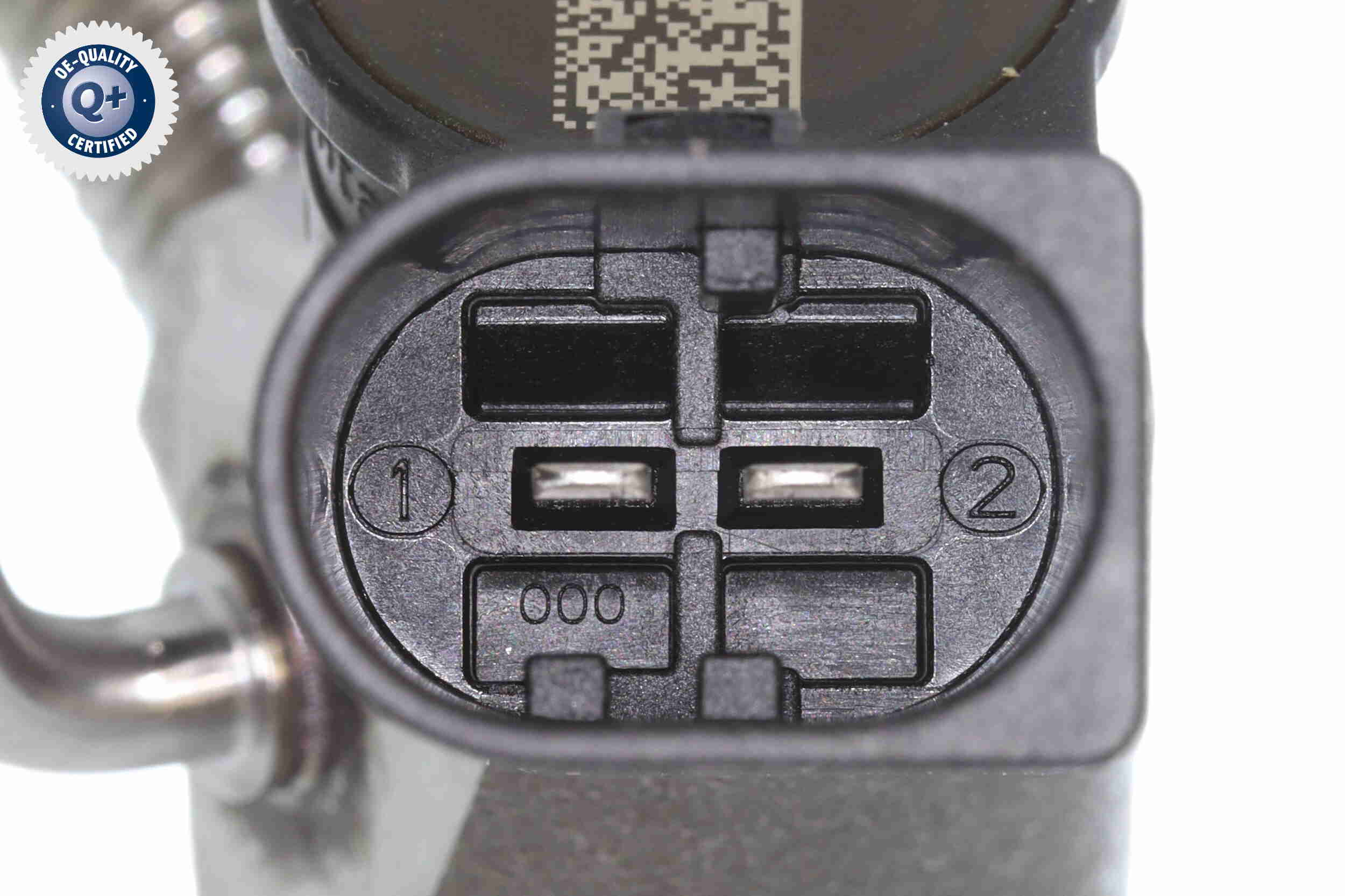 Ackoja Verstuiverneus A52-11-0030