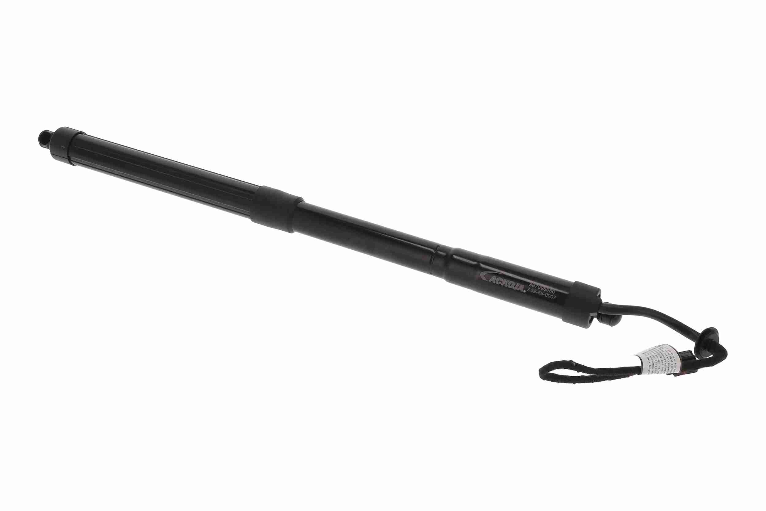 Ackoja Elektromotor, achterklep A52-55-0007