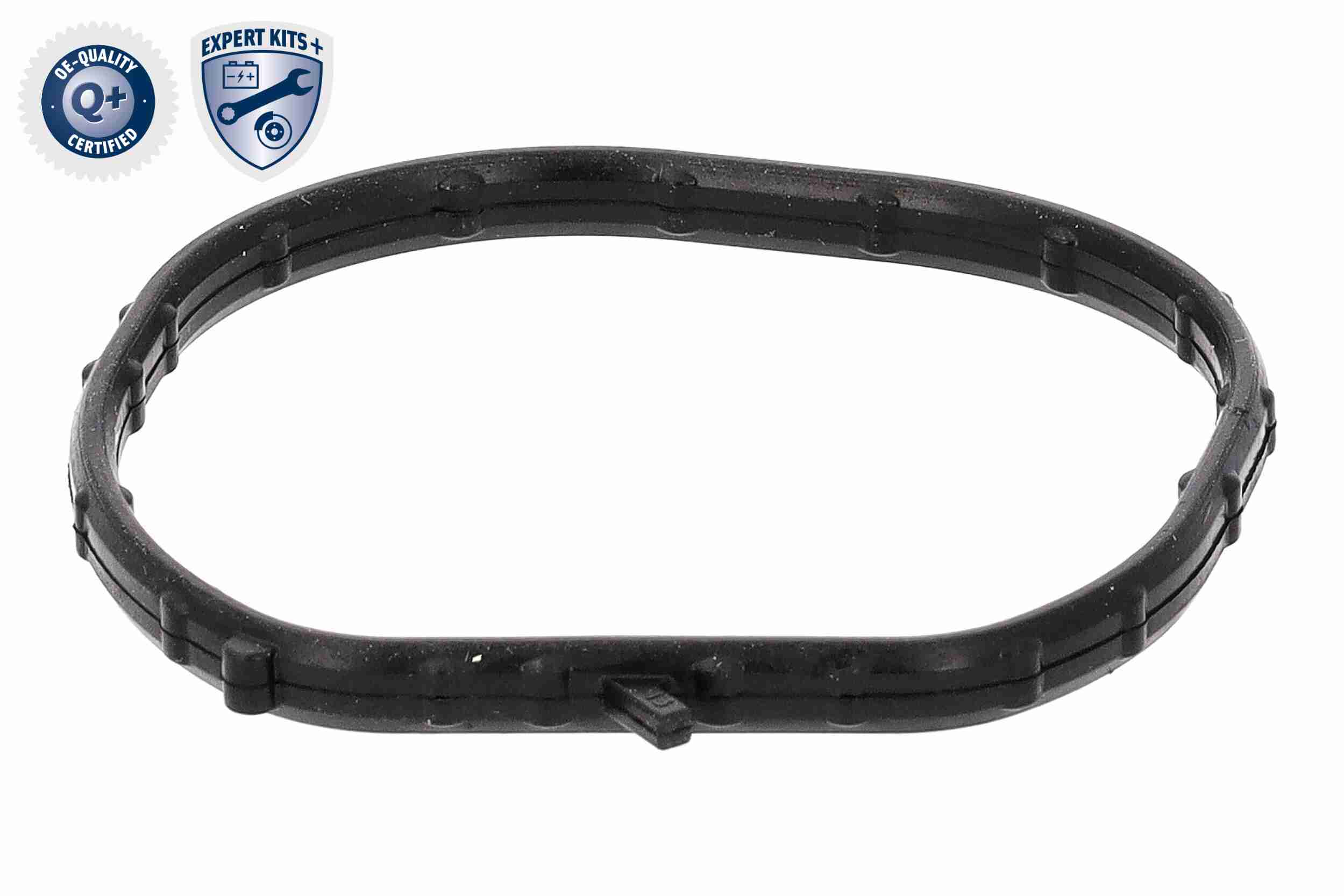 Ackoja Thermostaathuis A52-99-0029