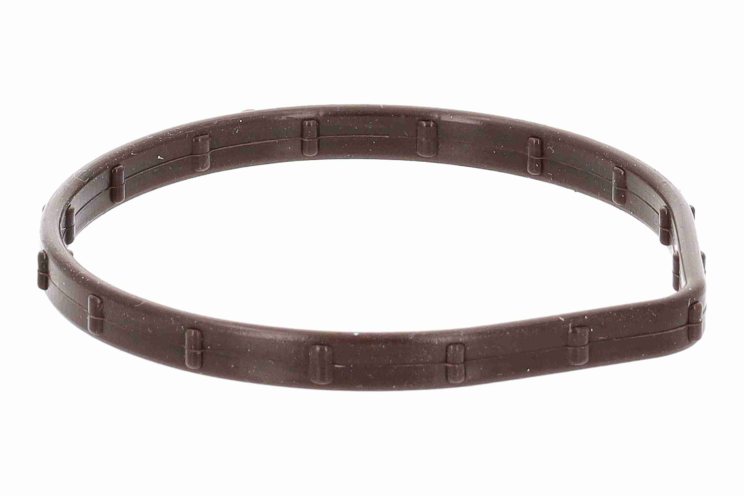 Ackoja Thermostaathuis A52-99-0035