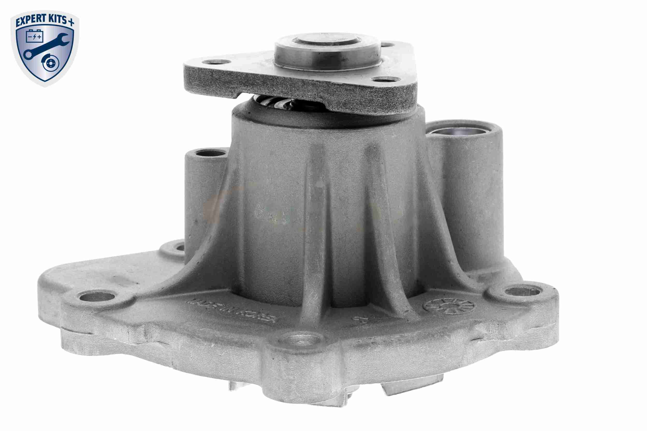 Ackoja Waterpomp A53-50003