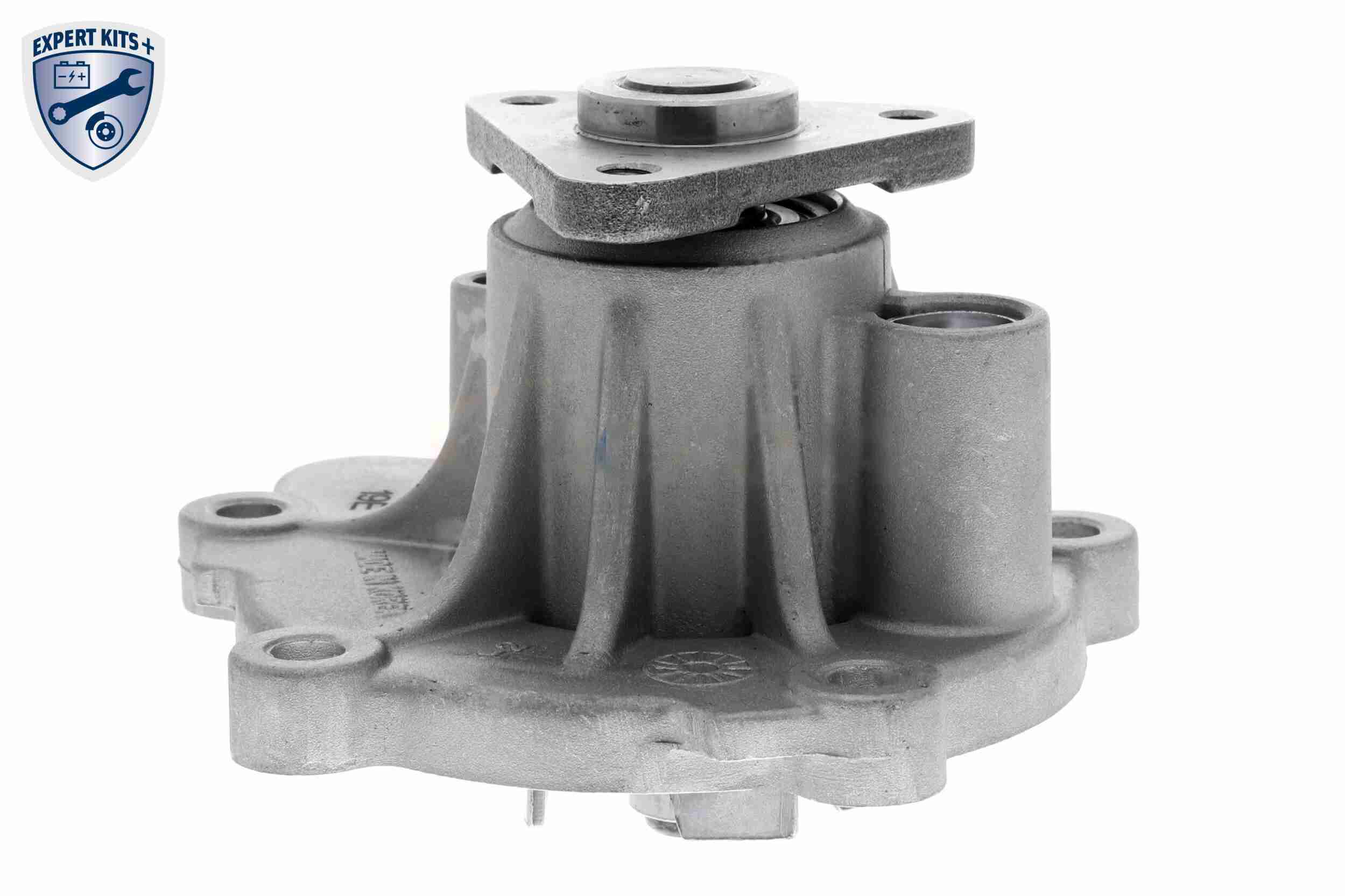 Ackoja Waterpomp A53-50003