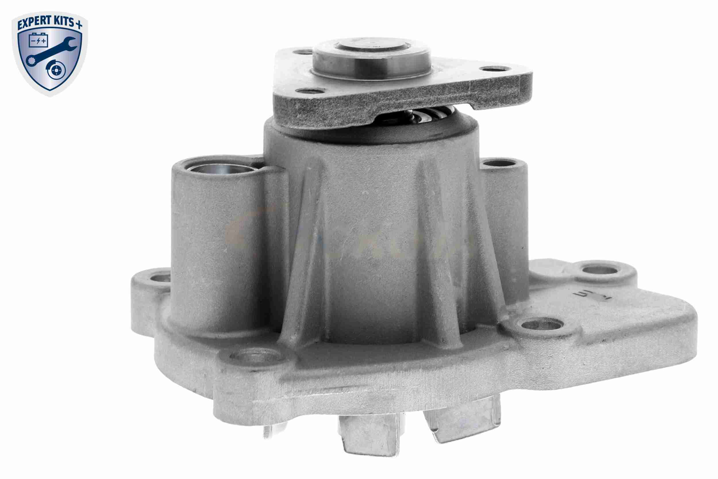 Ackoja Waterpomp A53-50003