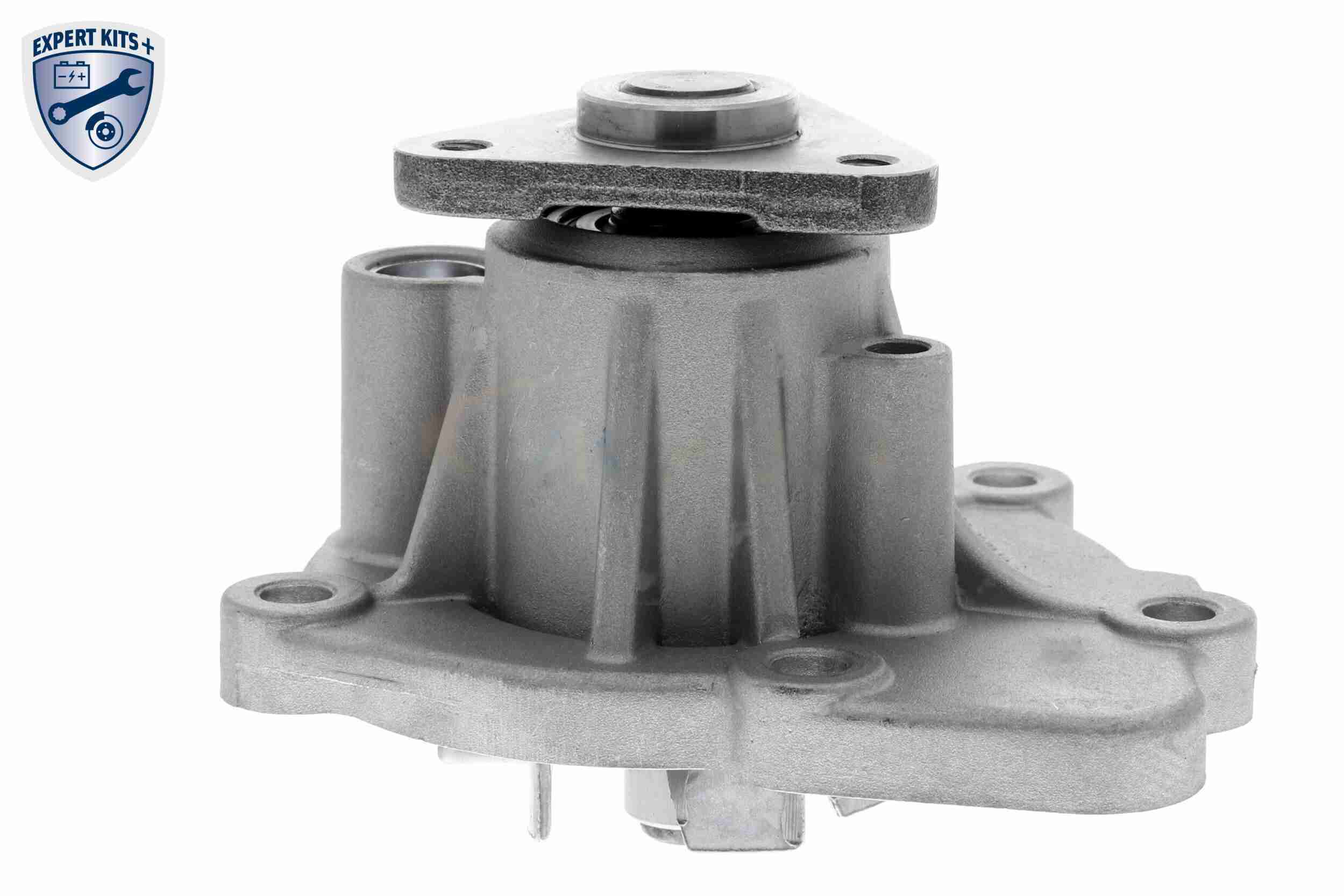 Ackoja Waterpomp A53-50003