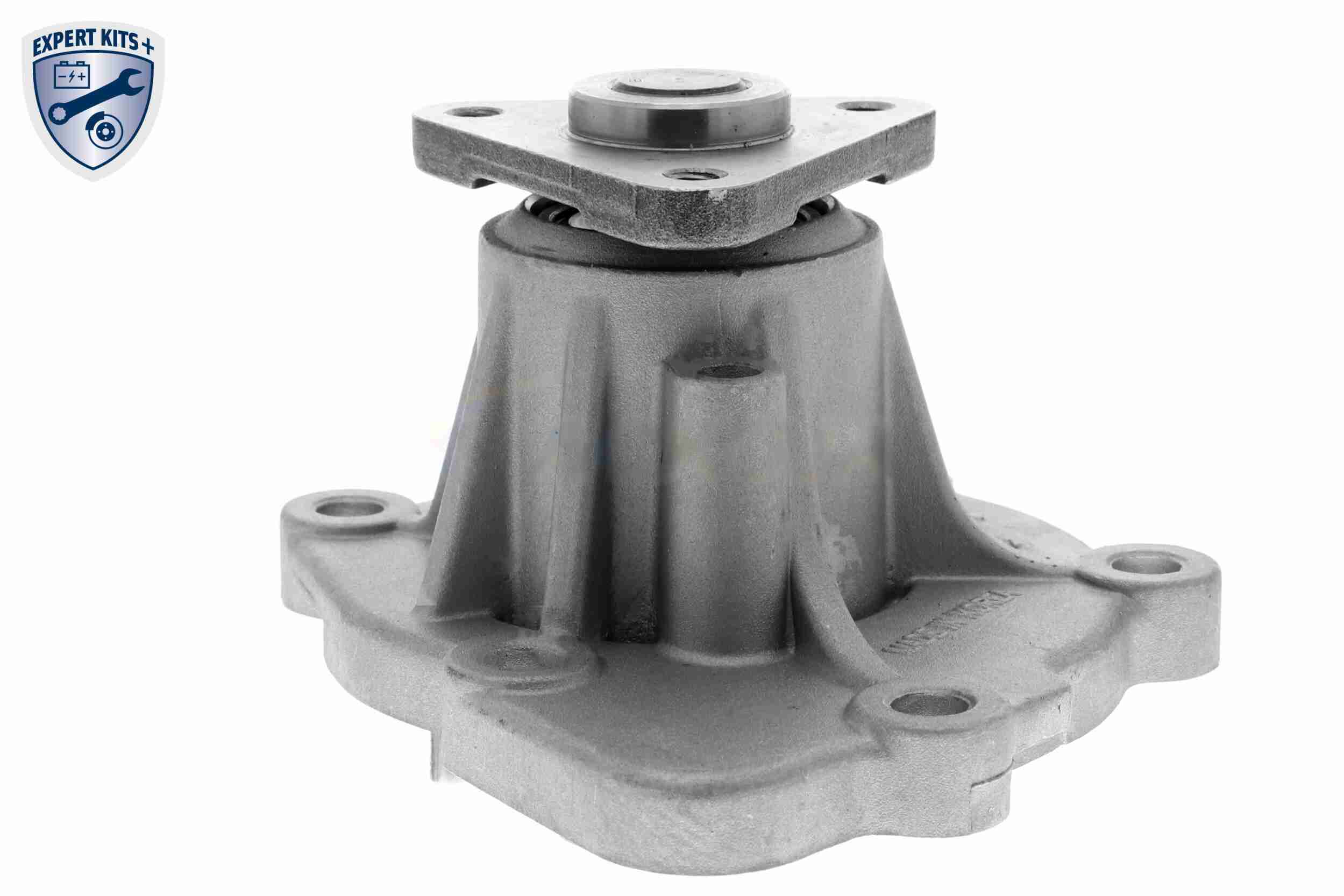 Ackoja Waterpomp A53-50003