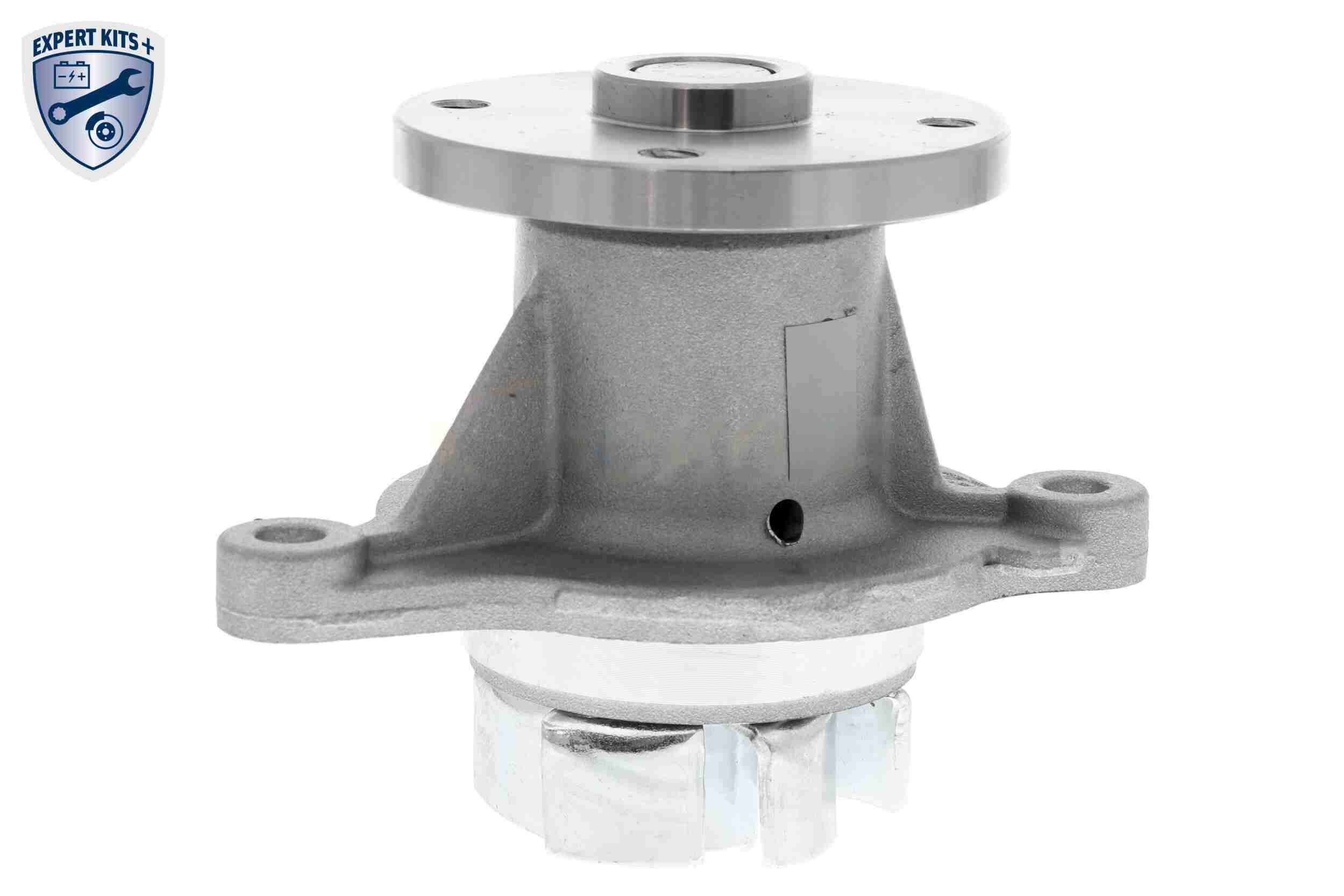 Ackoja Waterpomp A53-50010