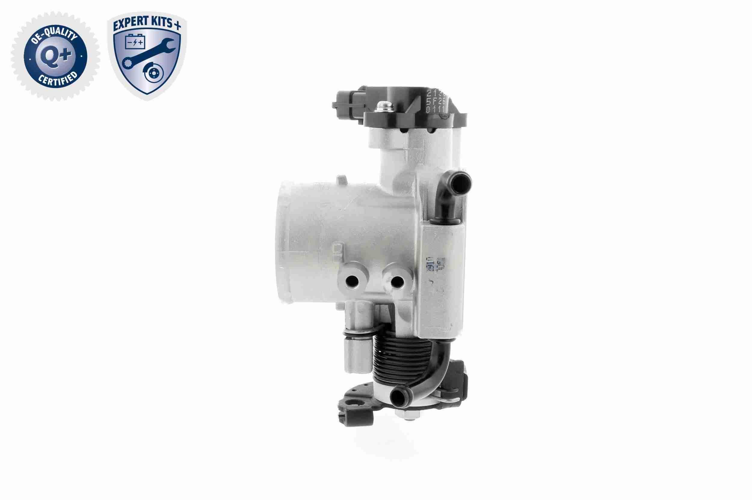 Ackoja Gasklephuis A53-81-0002