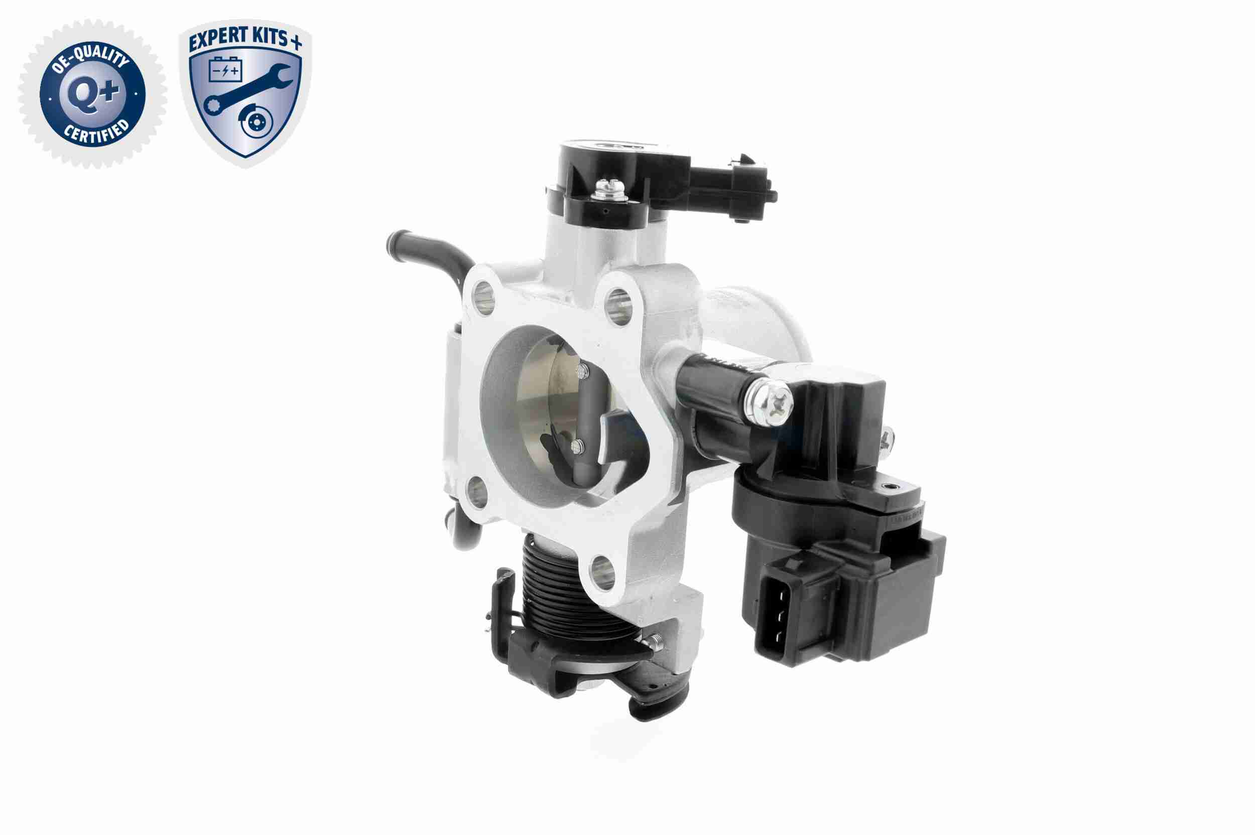 Ackoja Gasklephuis A53-81-0002