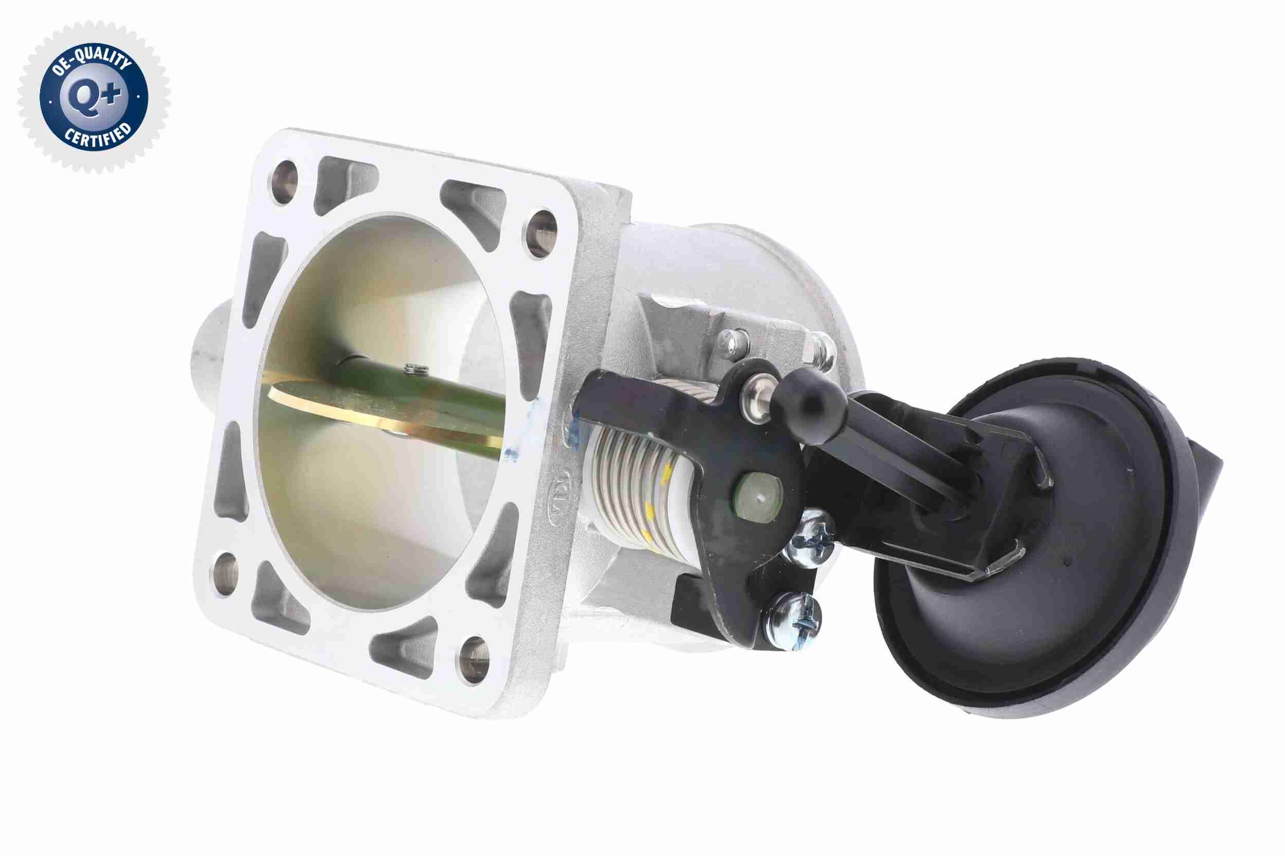 Ackoja Gasklephuis A53-81-0009