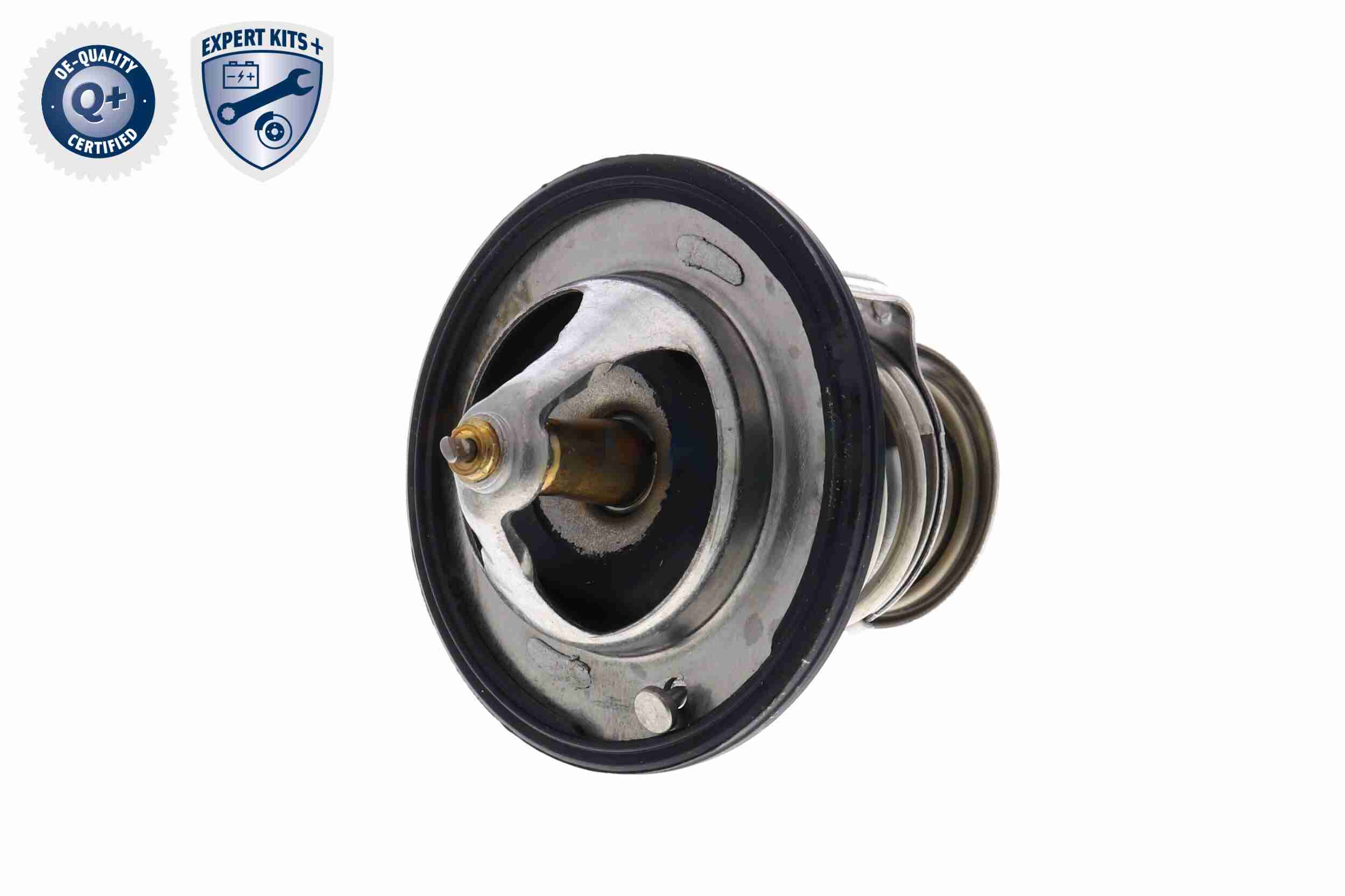 Ackoja Thermostaat A54-99-0003