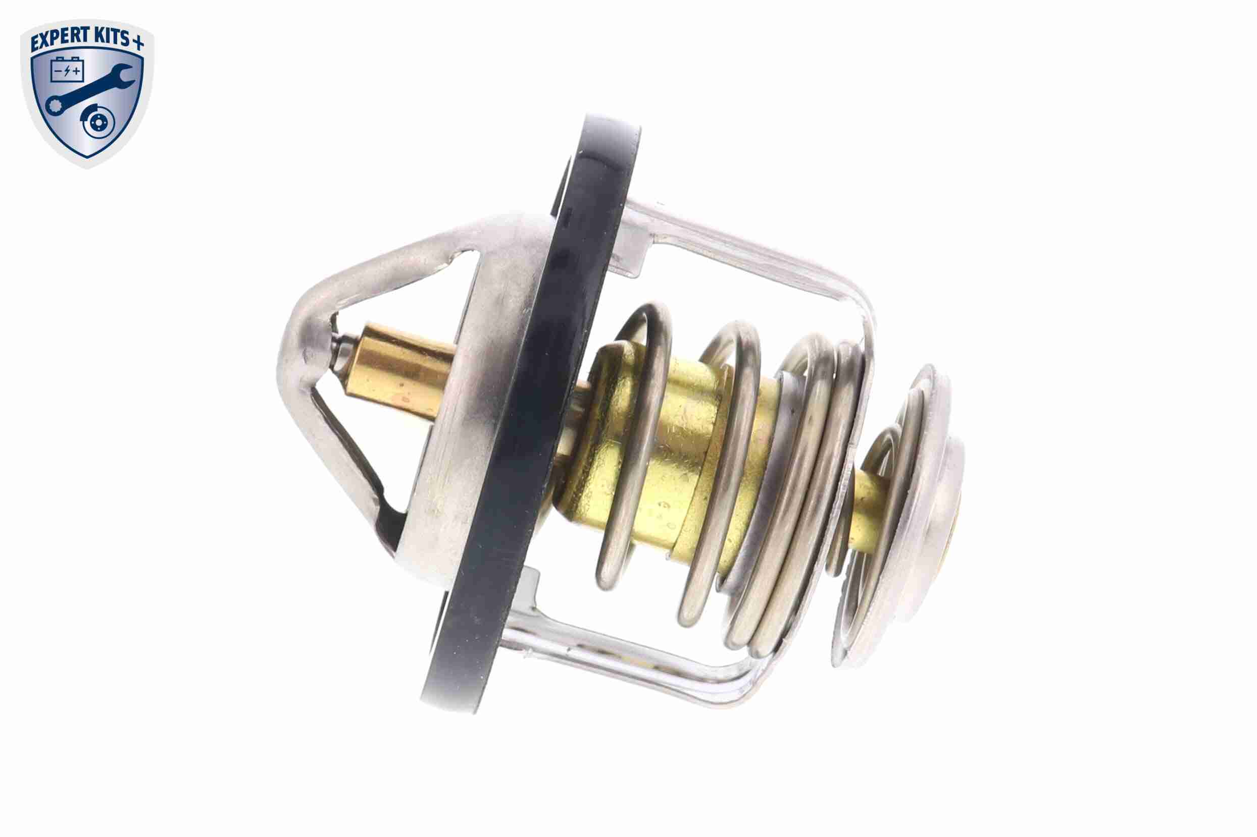 Ackoja Thermostaat A55-99-0001