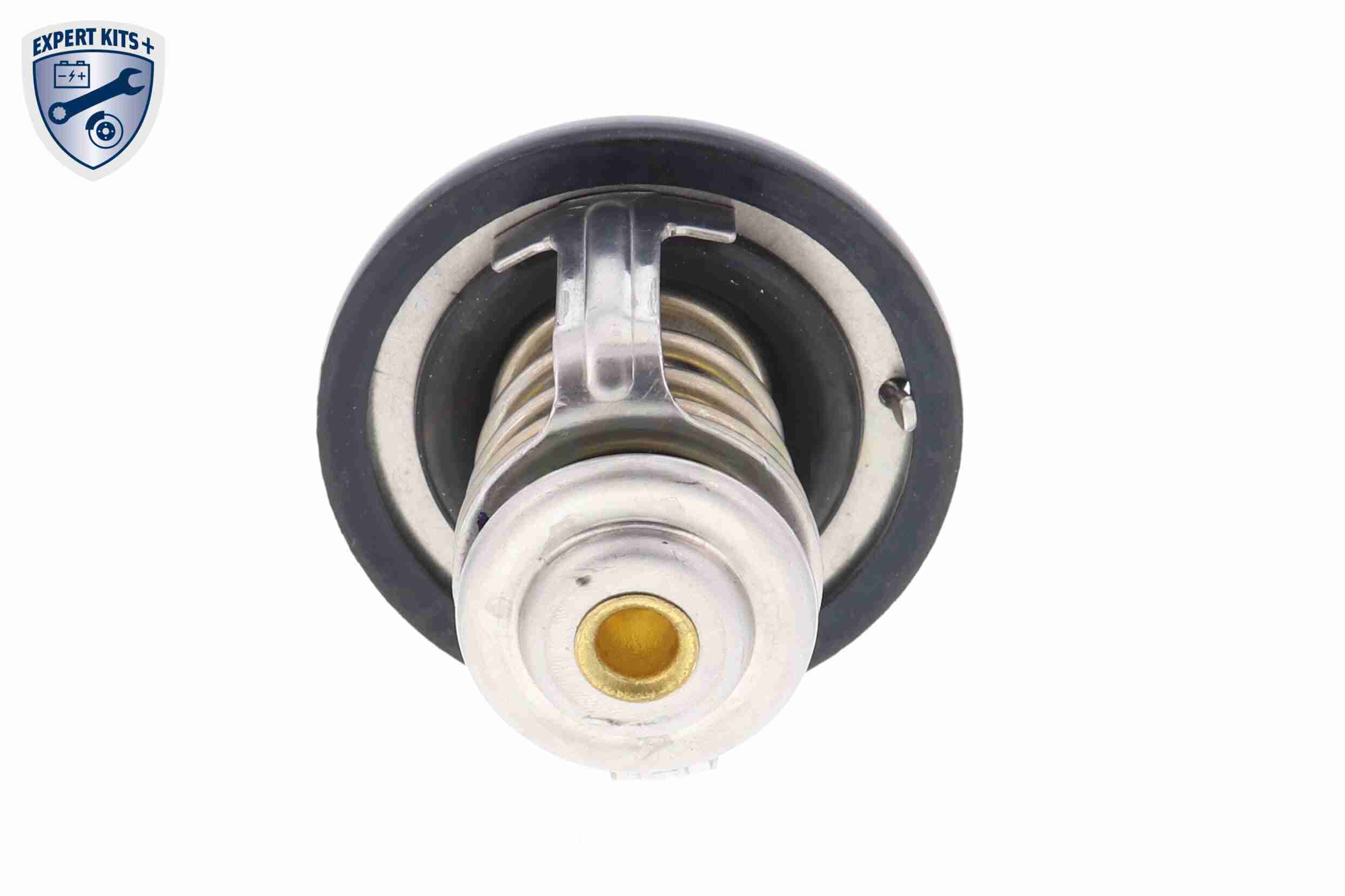 Ackoja Thermostaat A55-99-0001