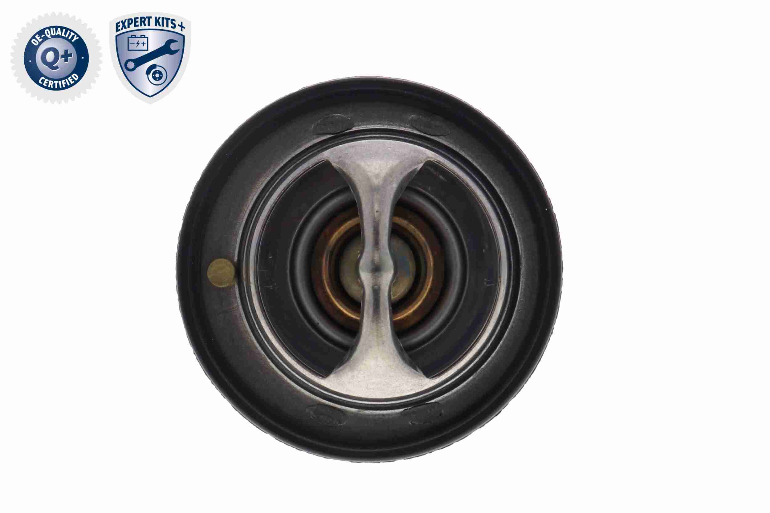 Ackoja Thermostaat A63-99-0004