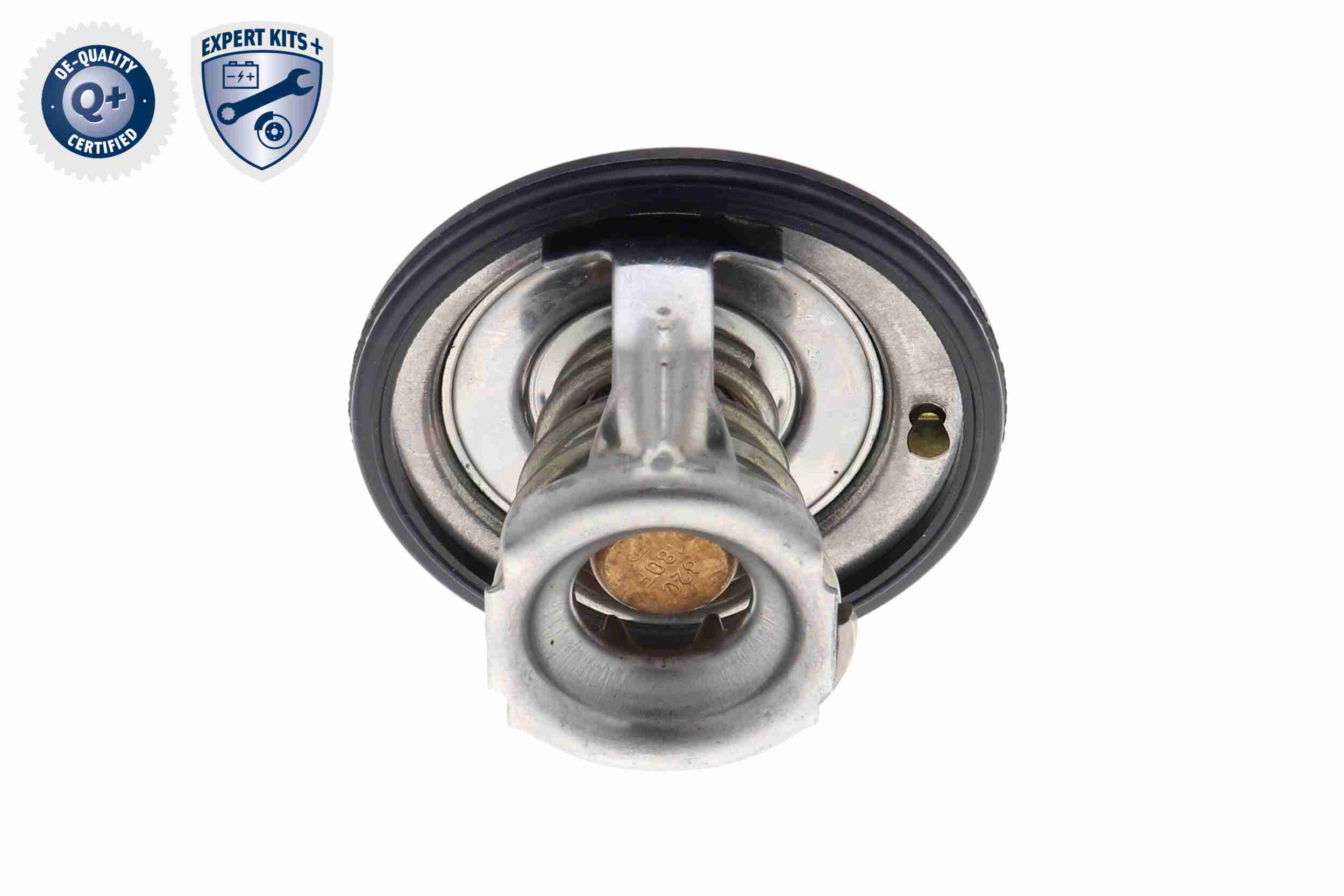 Ackoja Thermostaat A63-99-0004