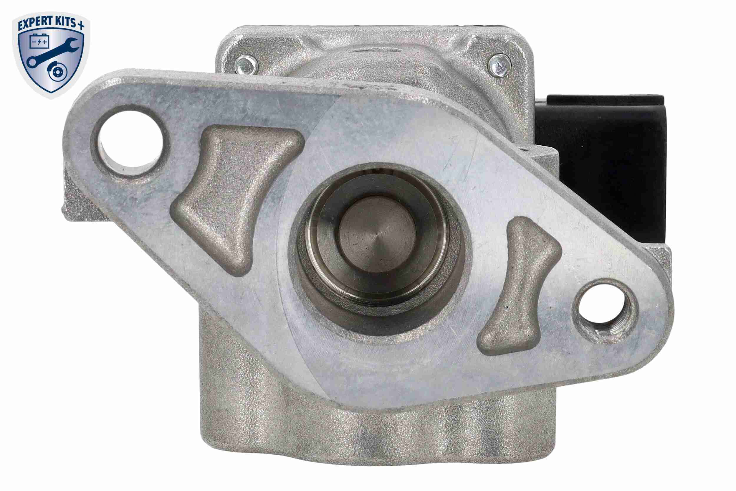 Ackoja Klep, uitlaatgasrecirculatie A64-63-0002