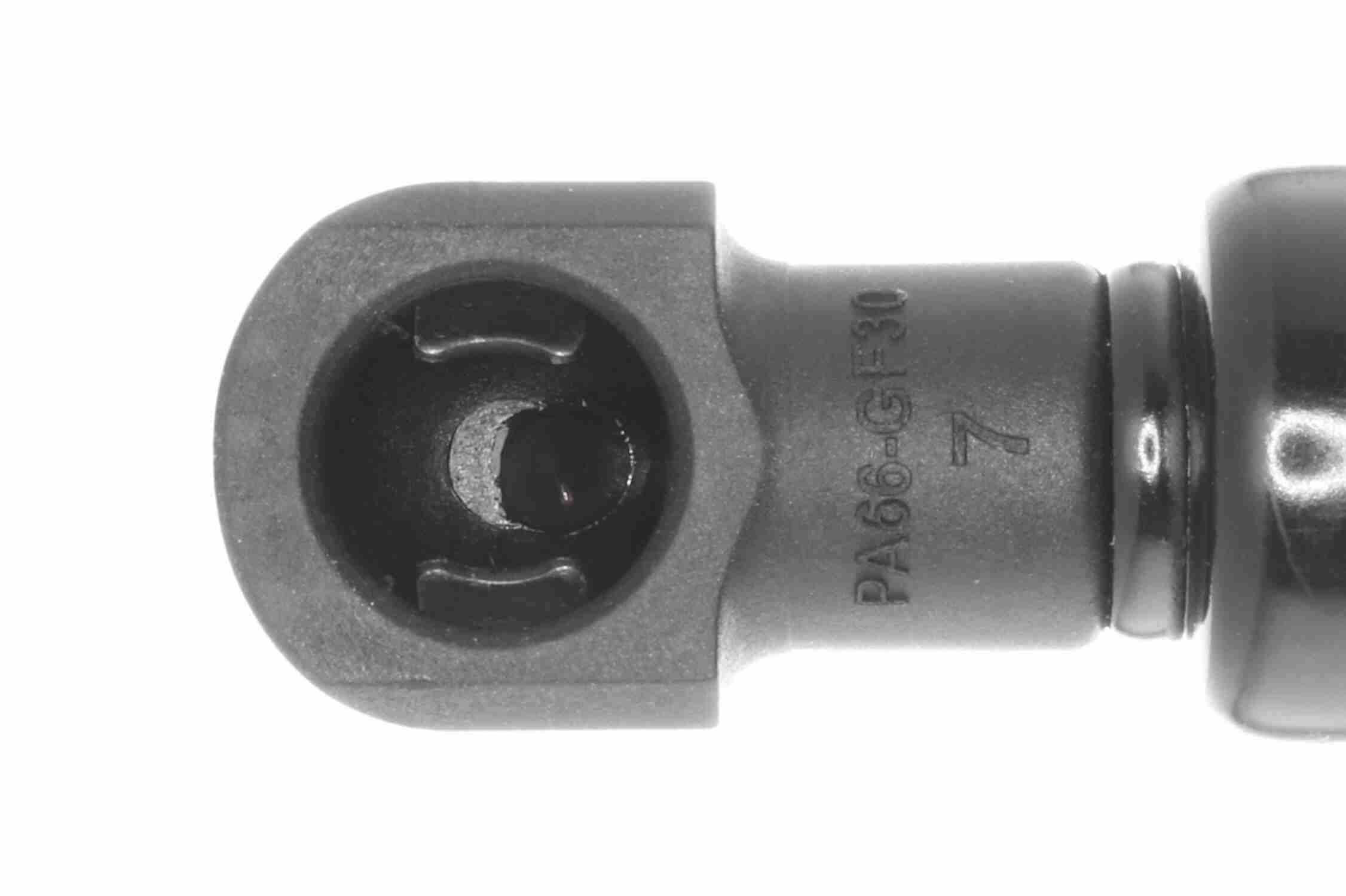 Ackoja Gasveer, kofferruimte A70-0111