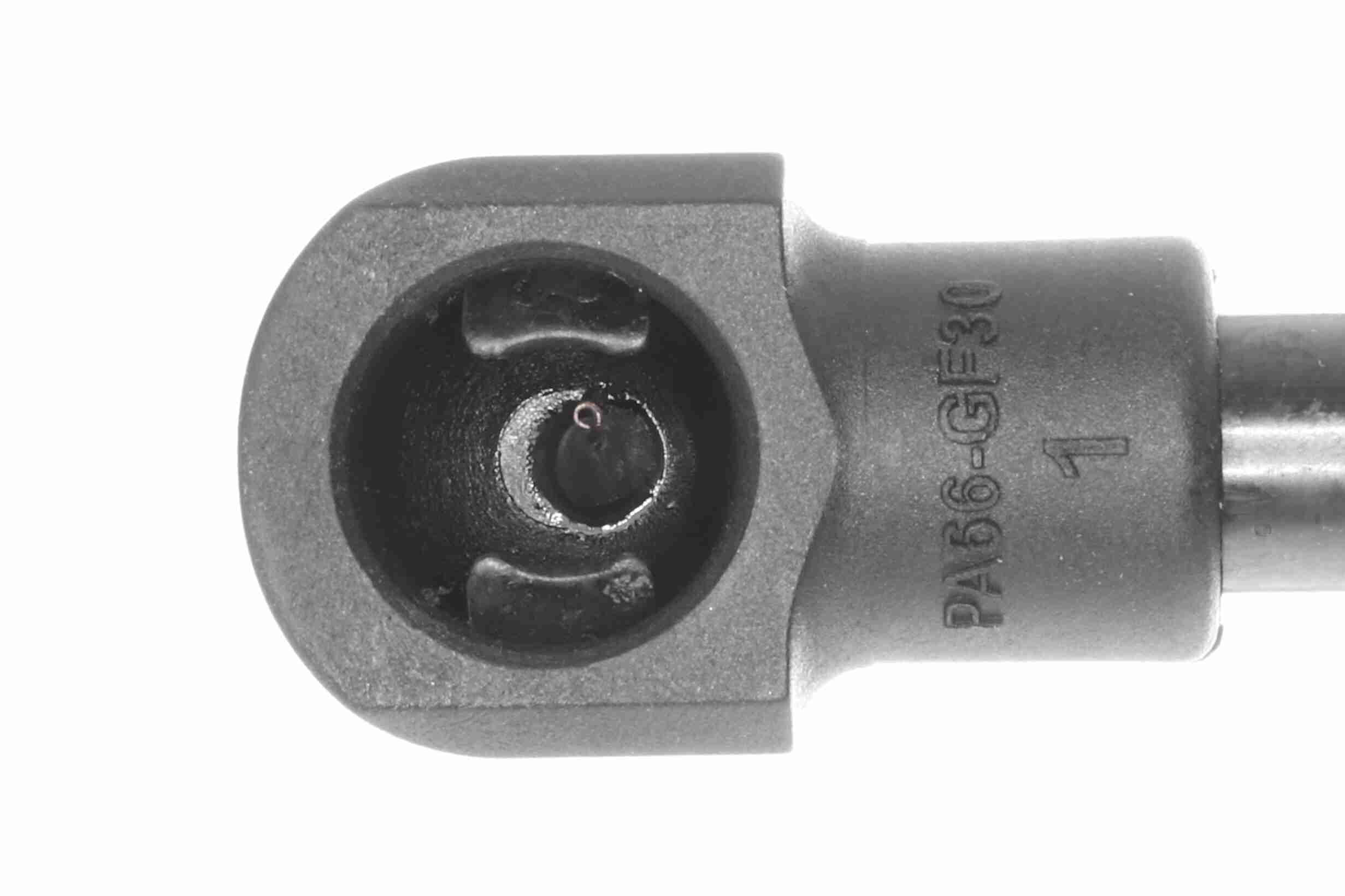 Ackoja Gasveer, kofferruimte A70-0192