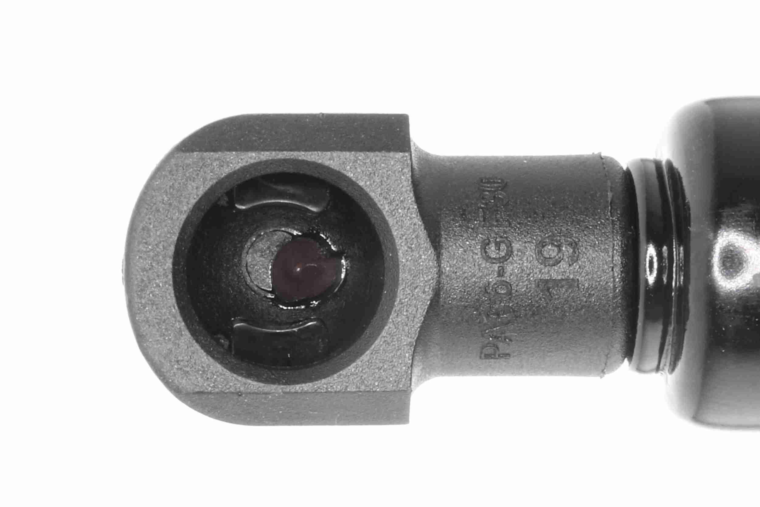 Ackoja Gasveer, kofferruimte A70-0194