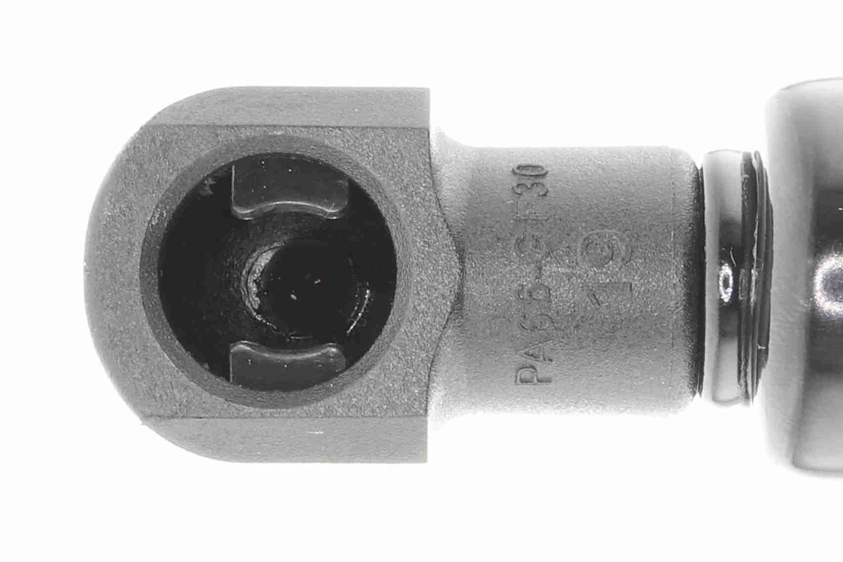 Ackoja Gasveer, kofferruimte A70-0194