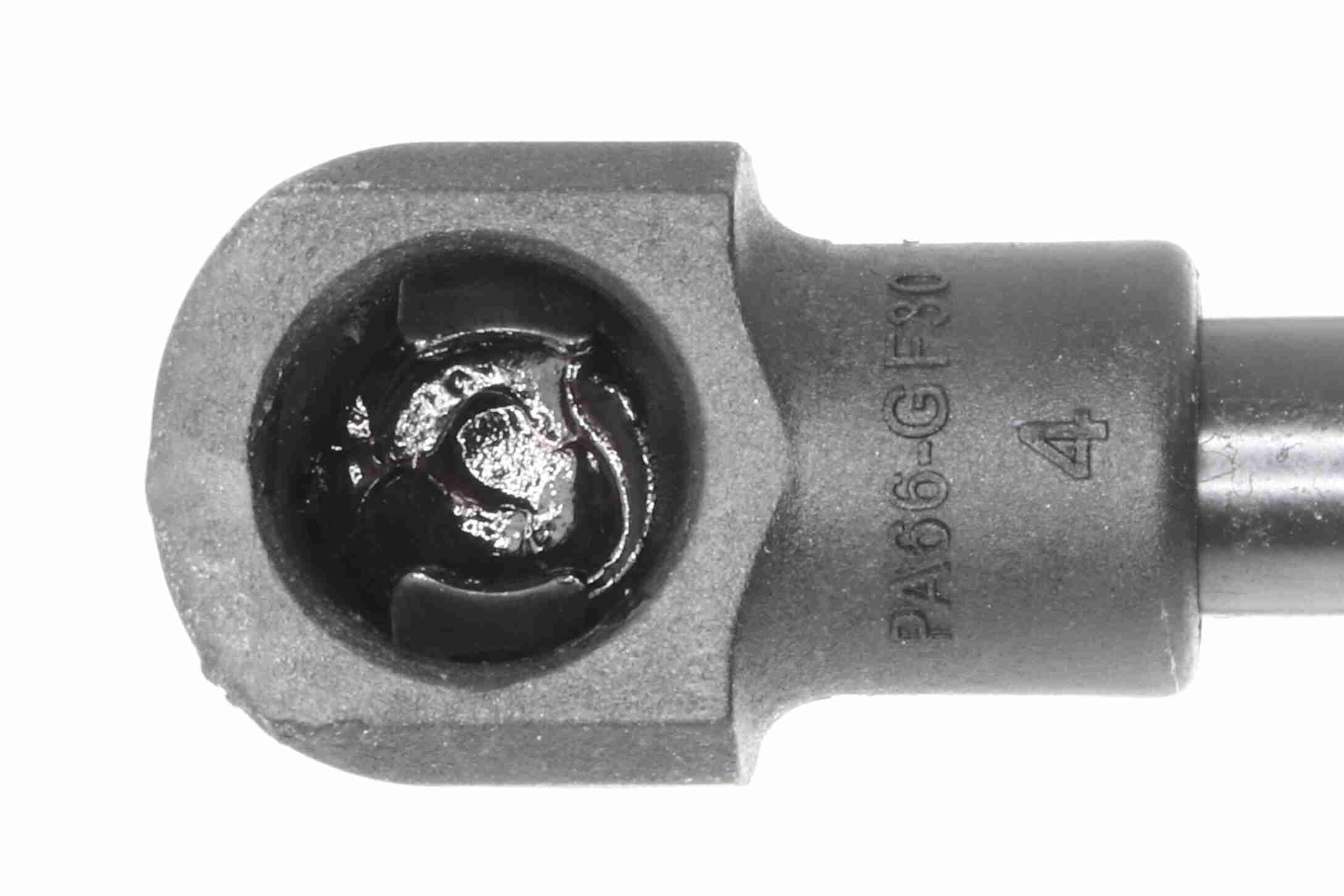 Ackoja Gasveer, kofferruimte A70-0196