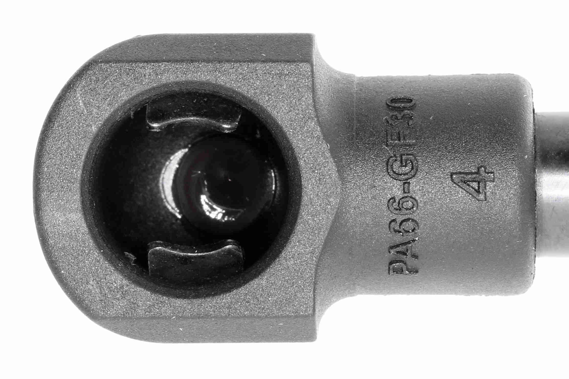 Ackoja Gasveer, kofferruimte A70-0491