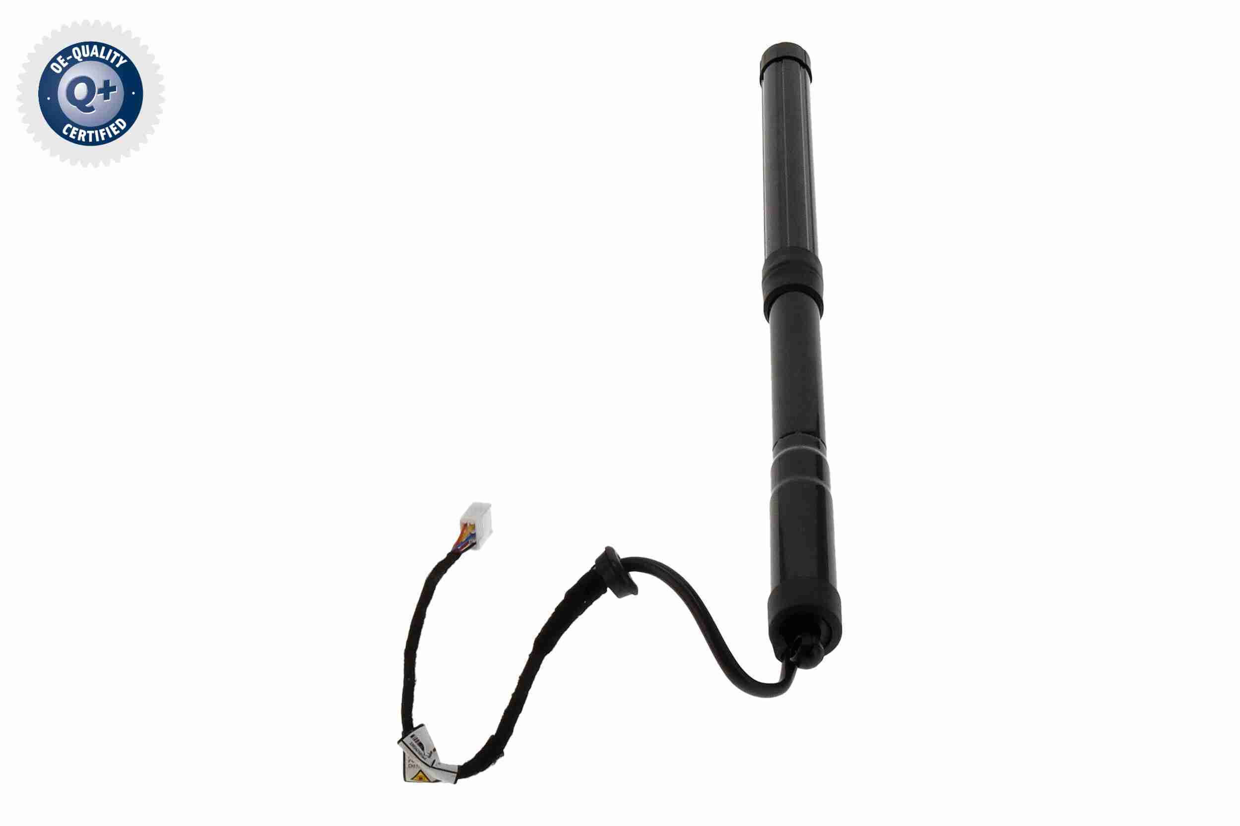 Ackoja Elektromotor, achterklep A70-55-0011