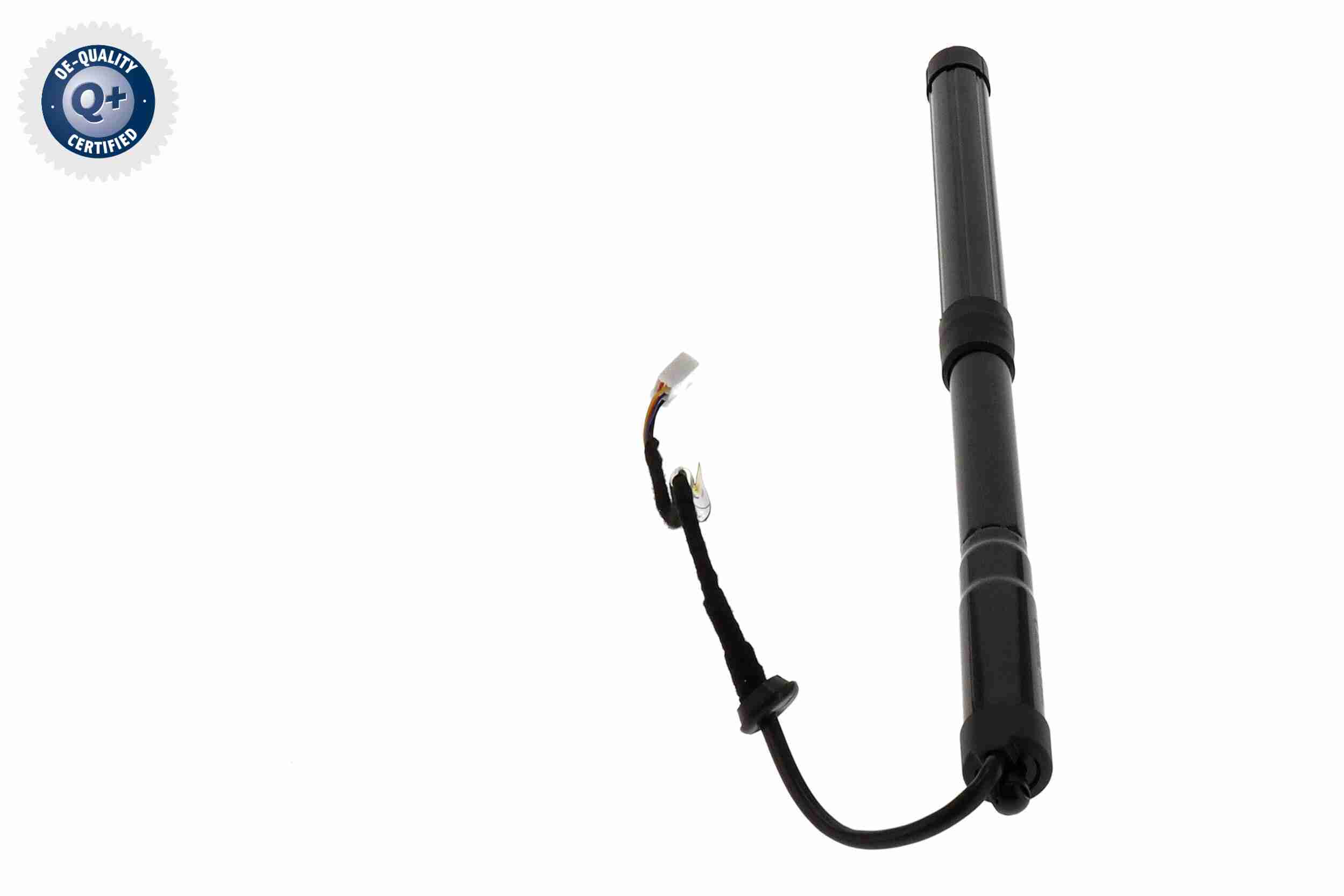 Ackoja Elektromotor, achterklep A70-55-0012