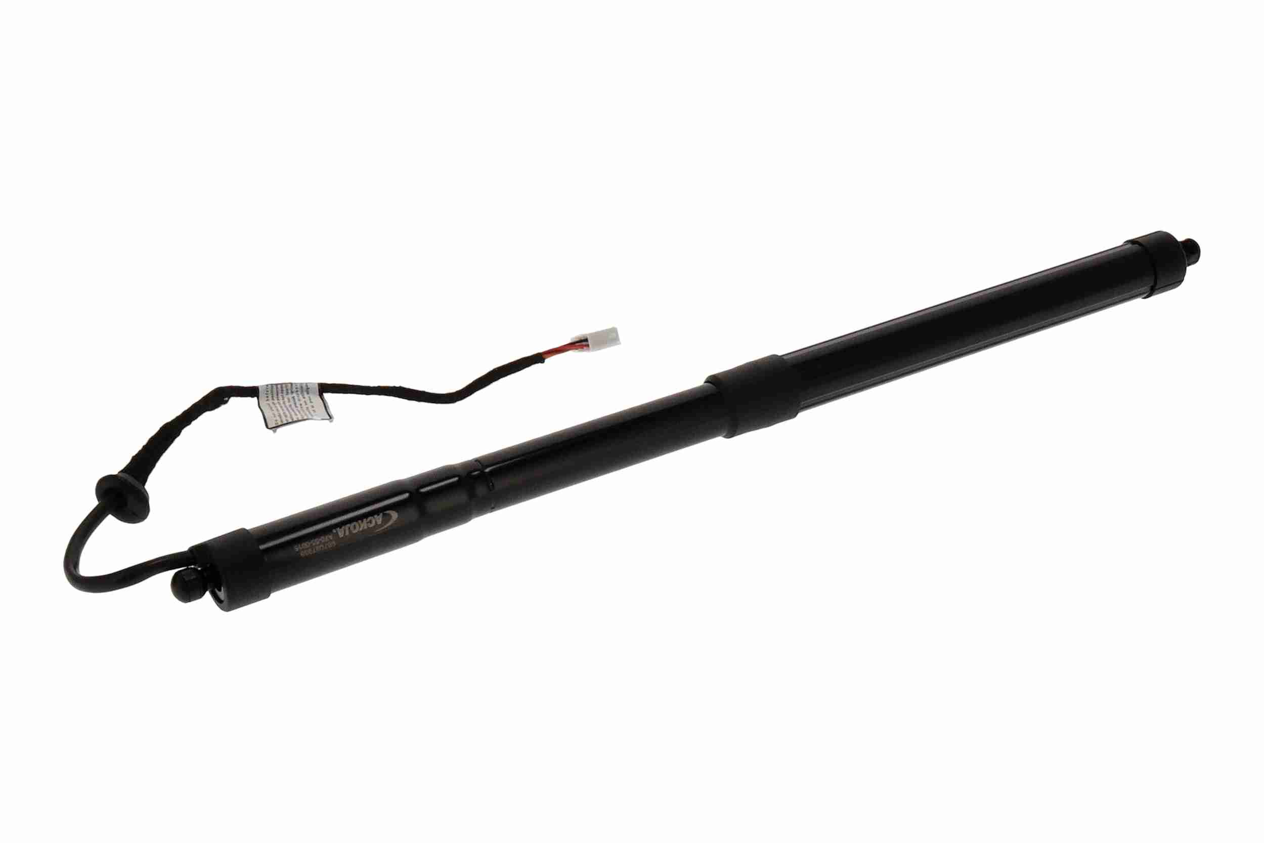 Ackoja Elektromotor, achterklep A70-55-0015