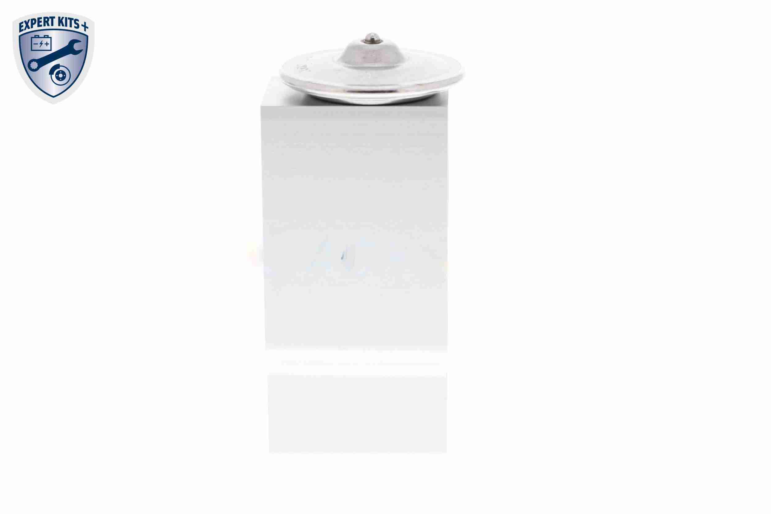 Ackoja Airco expansieklep A70-77-0007