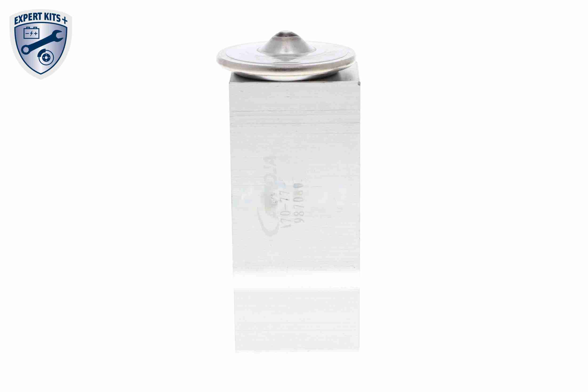 Ackoja Airco expansieklep A70-77-0008