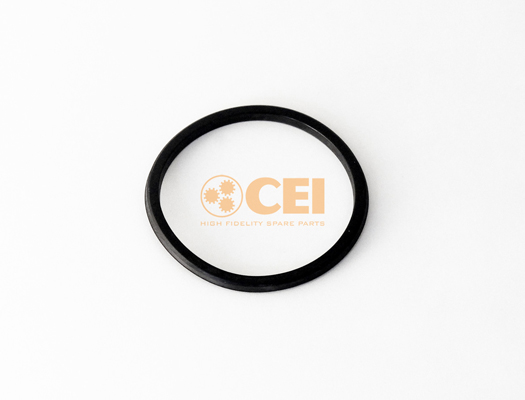 Versnellingsbakas dichtingsring C.E.I. 139.336